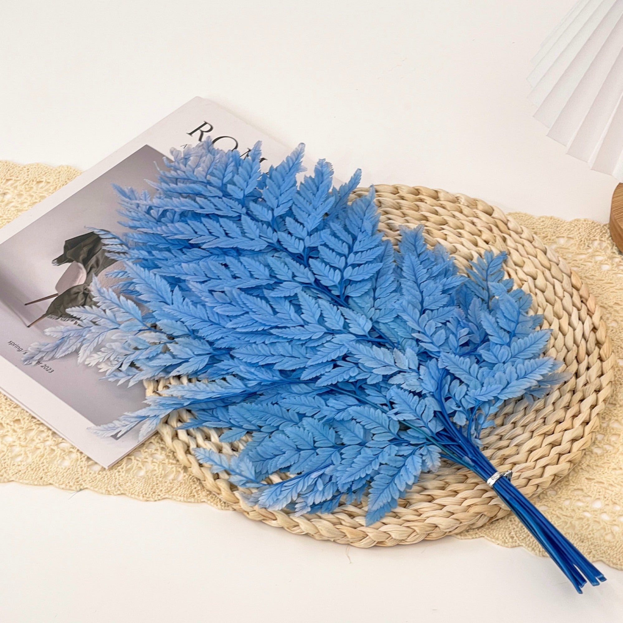 Alilang Decorative Dried Fern Leaves for Home Decoration and Floral Arrangements