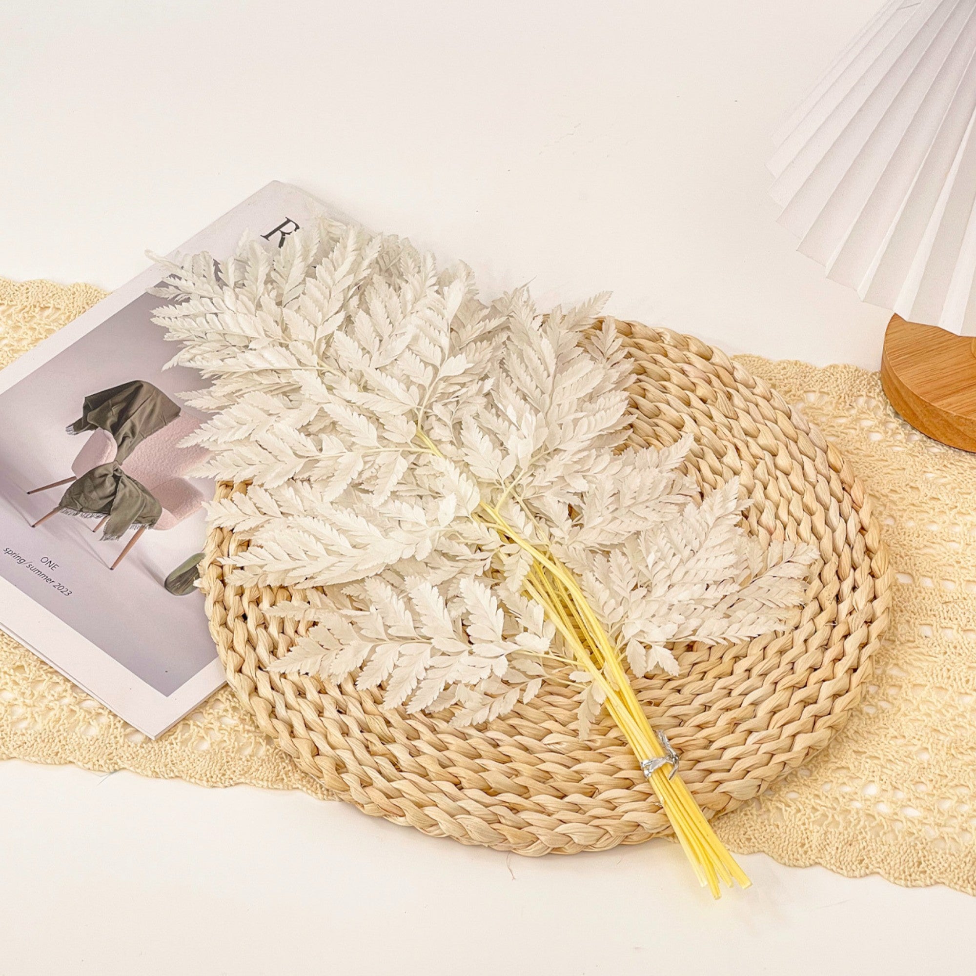 Alilang Decorative Dried Fern Leaves for Home Decoration and Floral Arrangements