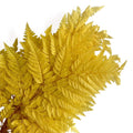 Alilang Decorative Dried Fern Leaves for Home Decoration and Floral Arrangements