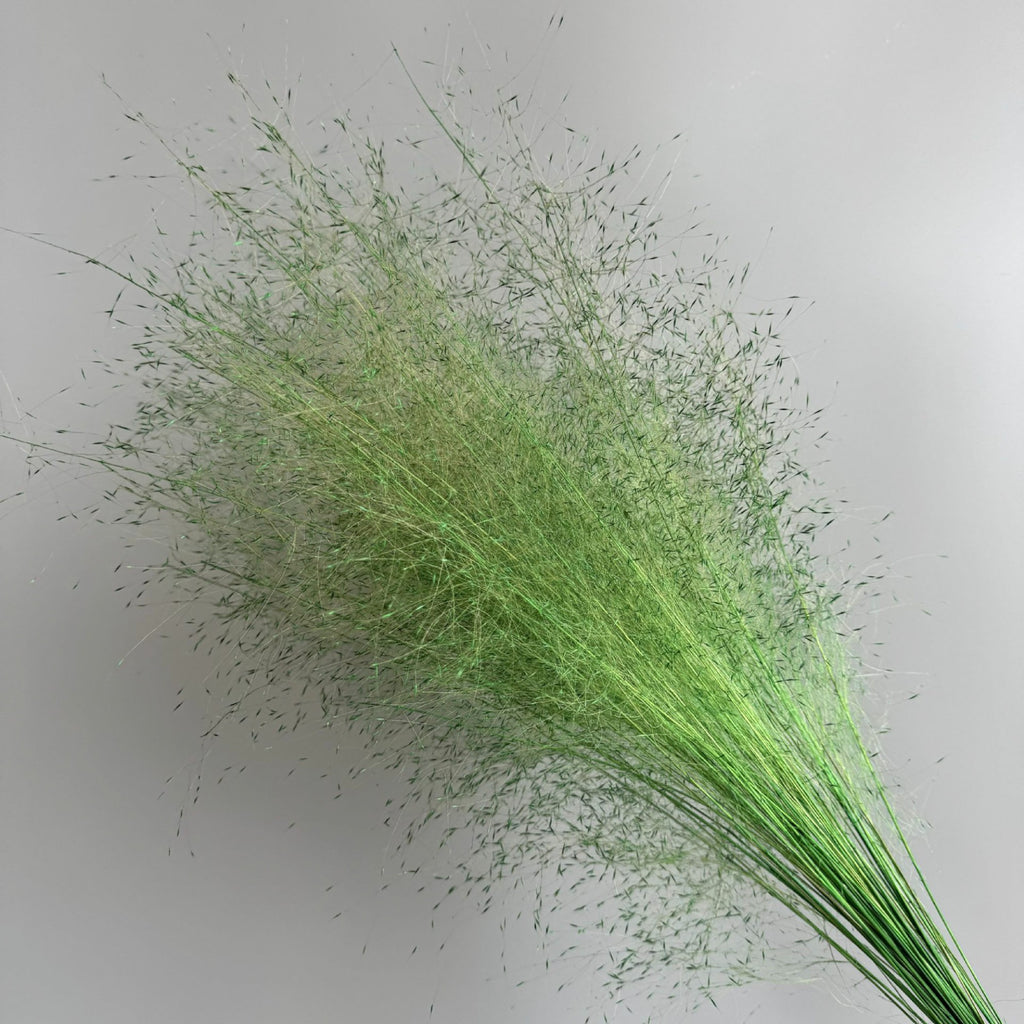 Alilang Decorative Dried Wispy Grass Stems for Home Decoration and Floral Arrangements