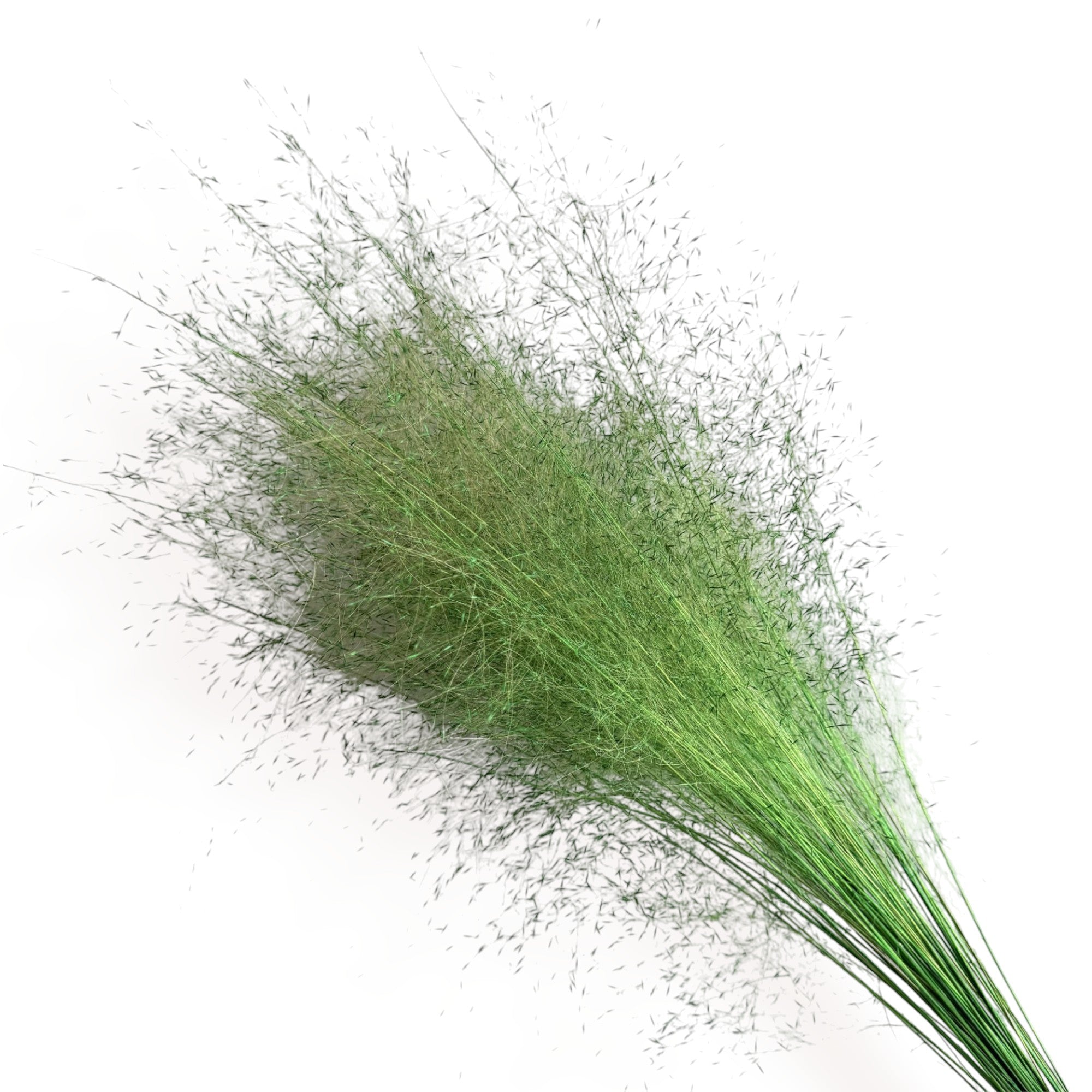 Alilang Decorative Dried Wispy Grass Stems for Home Decoration and Floral Arrangements