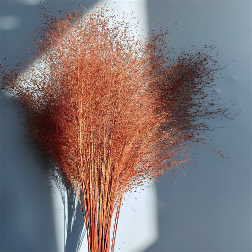 Alilang Decorative Dried Wispy Grass Stems for Home Decoration and Floral Arrangements