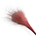 Alilang Decorative Dried Wispy Grass Stems for Home Decoration and Floral Arrangements