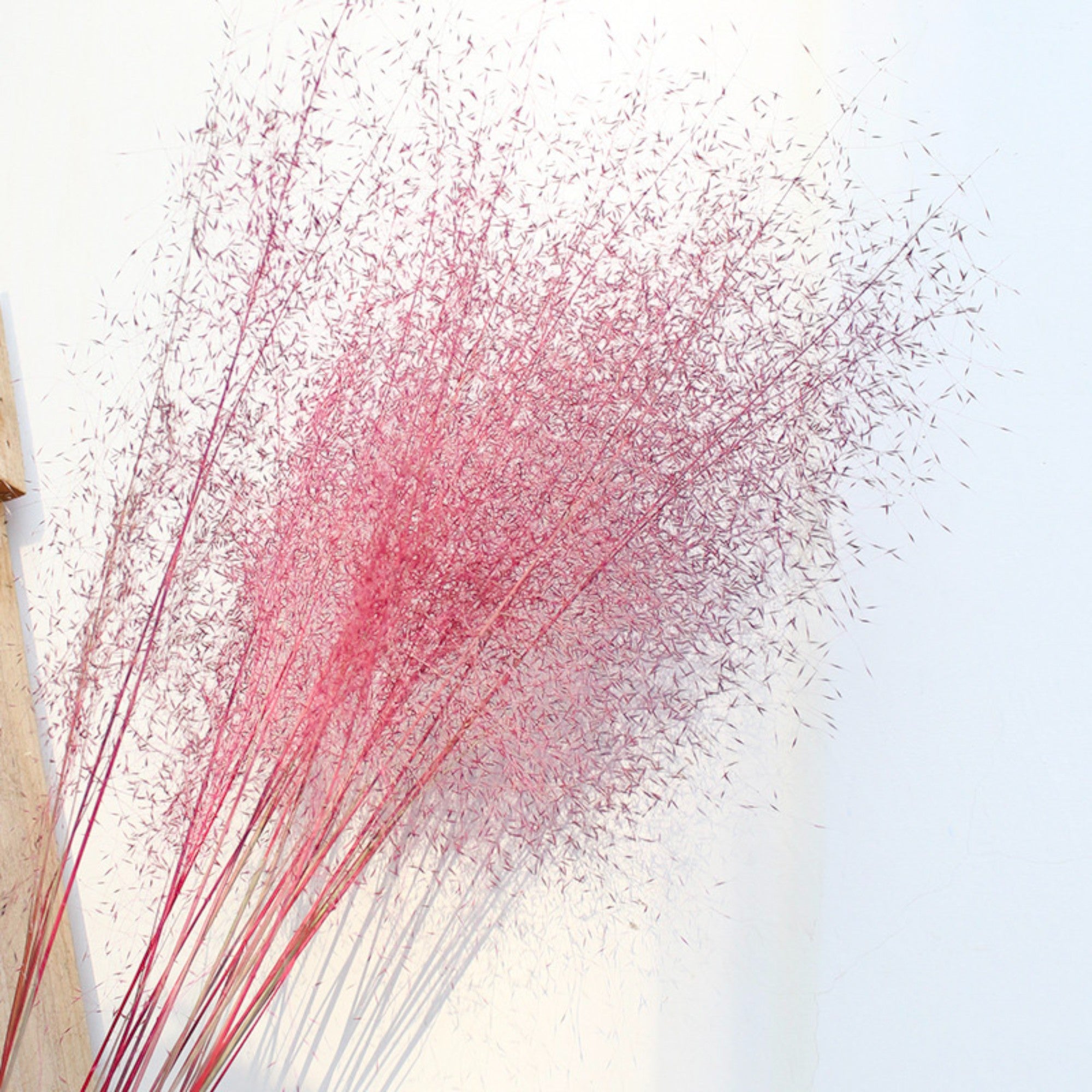 Alilang Decorative Dried Wispy Grass Stems for Home Decoration and Floral Arrangements