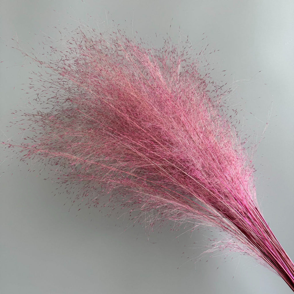 Alilang Decorative Dried Wispy Grass Stems for Home Decoration and Floral Arrangements
