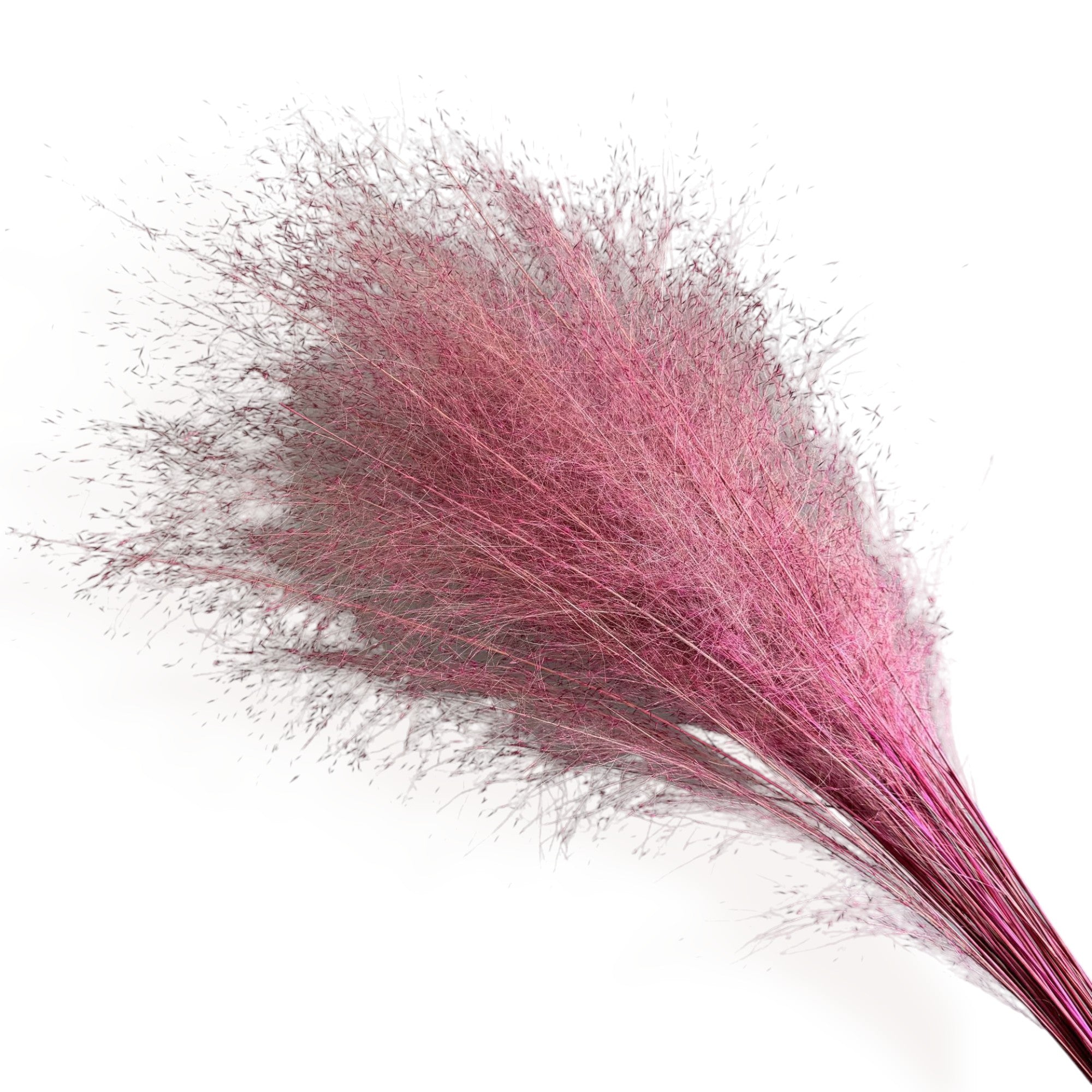 Alilang Decorative Dried Wispy Grass Stems for Home Decoration and Floral Arrangements