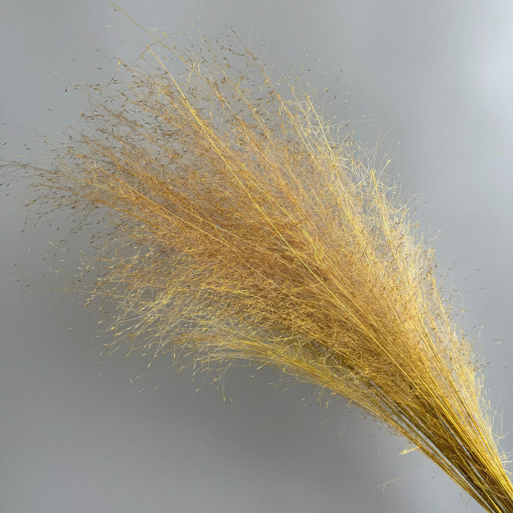 Alilang Decorative Dried Wispy Grass Stems for Home Decoration and Floral Arrangements