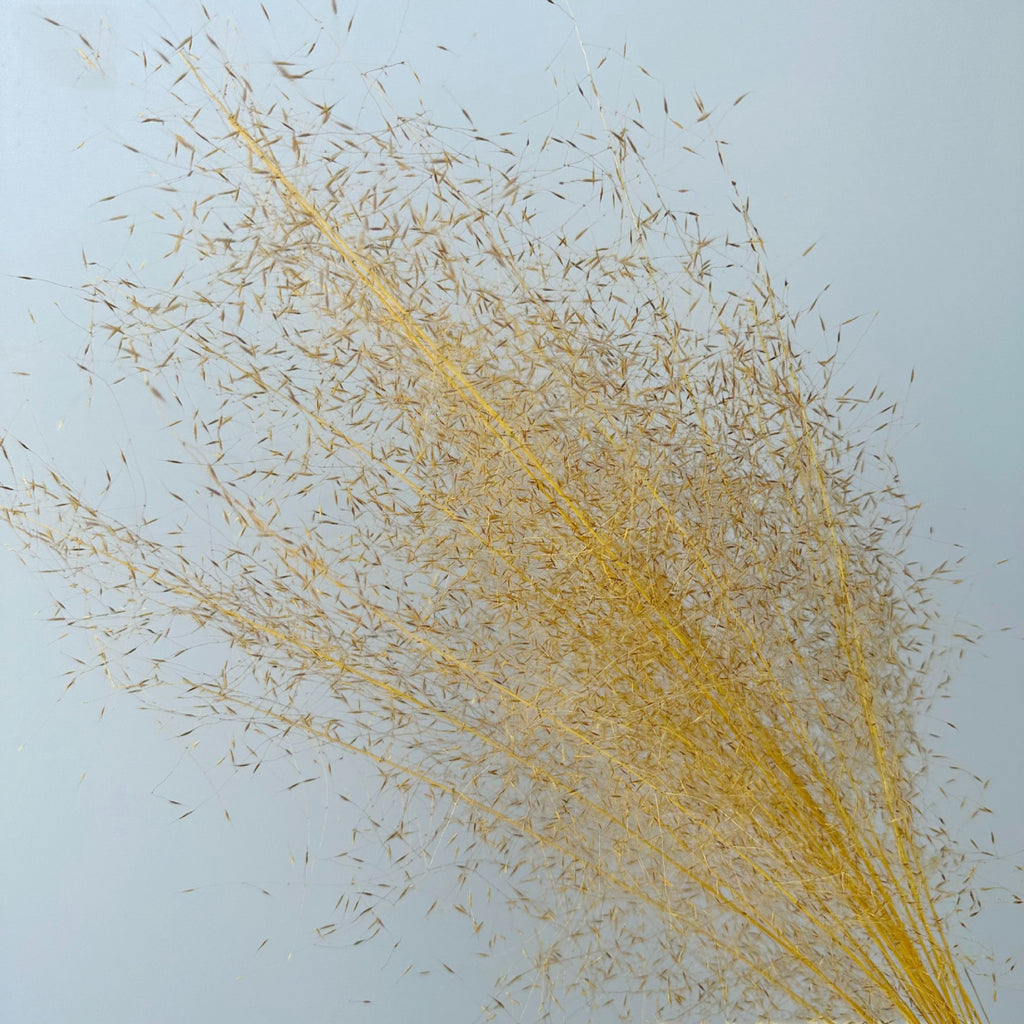 Alilang Decorative Dried Wispy Grass Stems for Home Decoration and Floral Arrangements