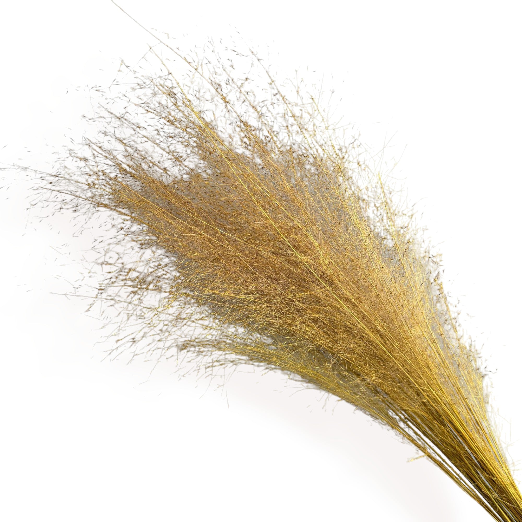 Alilang Decorative Dried Wispy Grass Stems for Home Decoration and Floral Arrangements