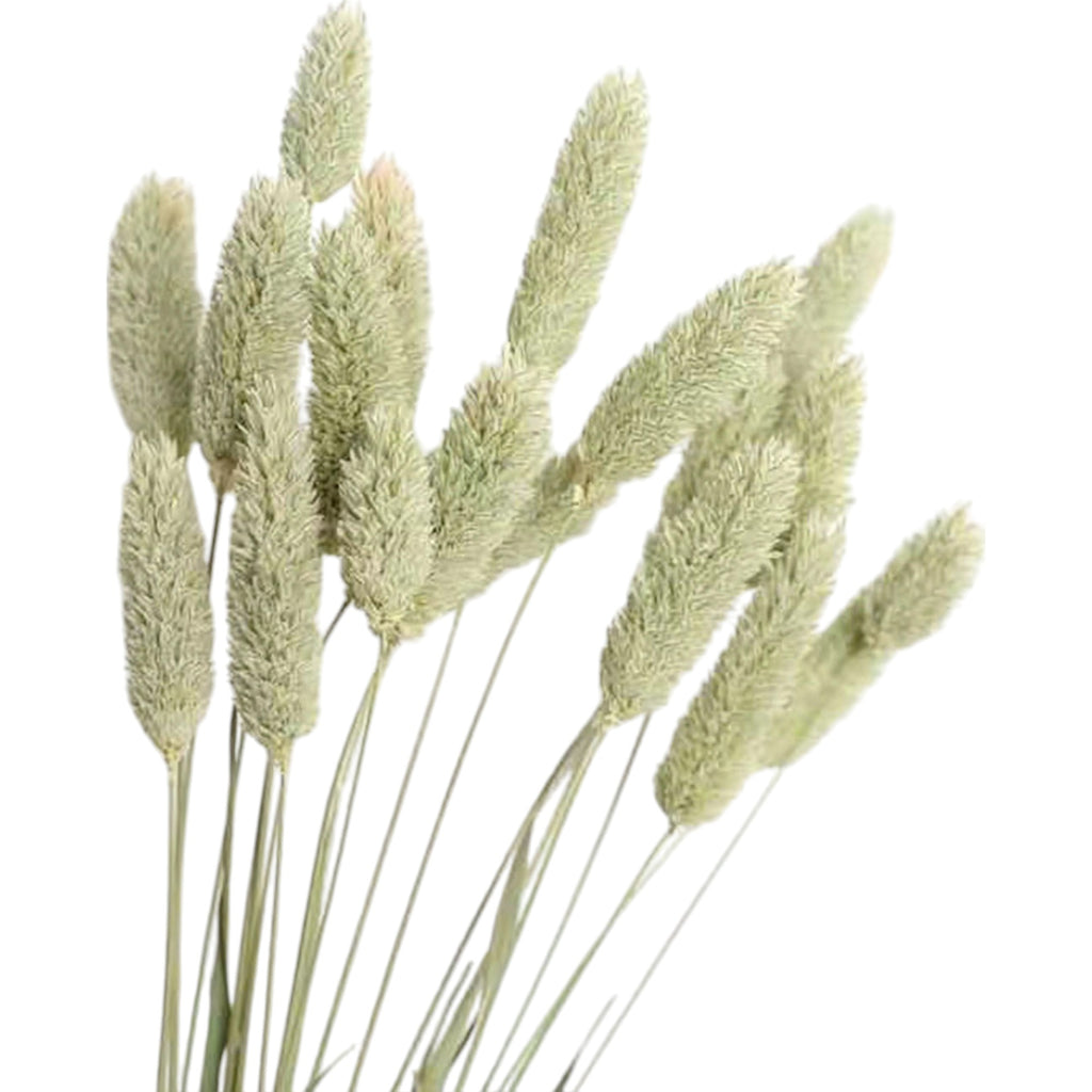 Alilang Decorative Mixed Dried Flower Bouquet for Home Decoration and Arrangements
