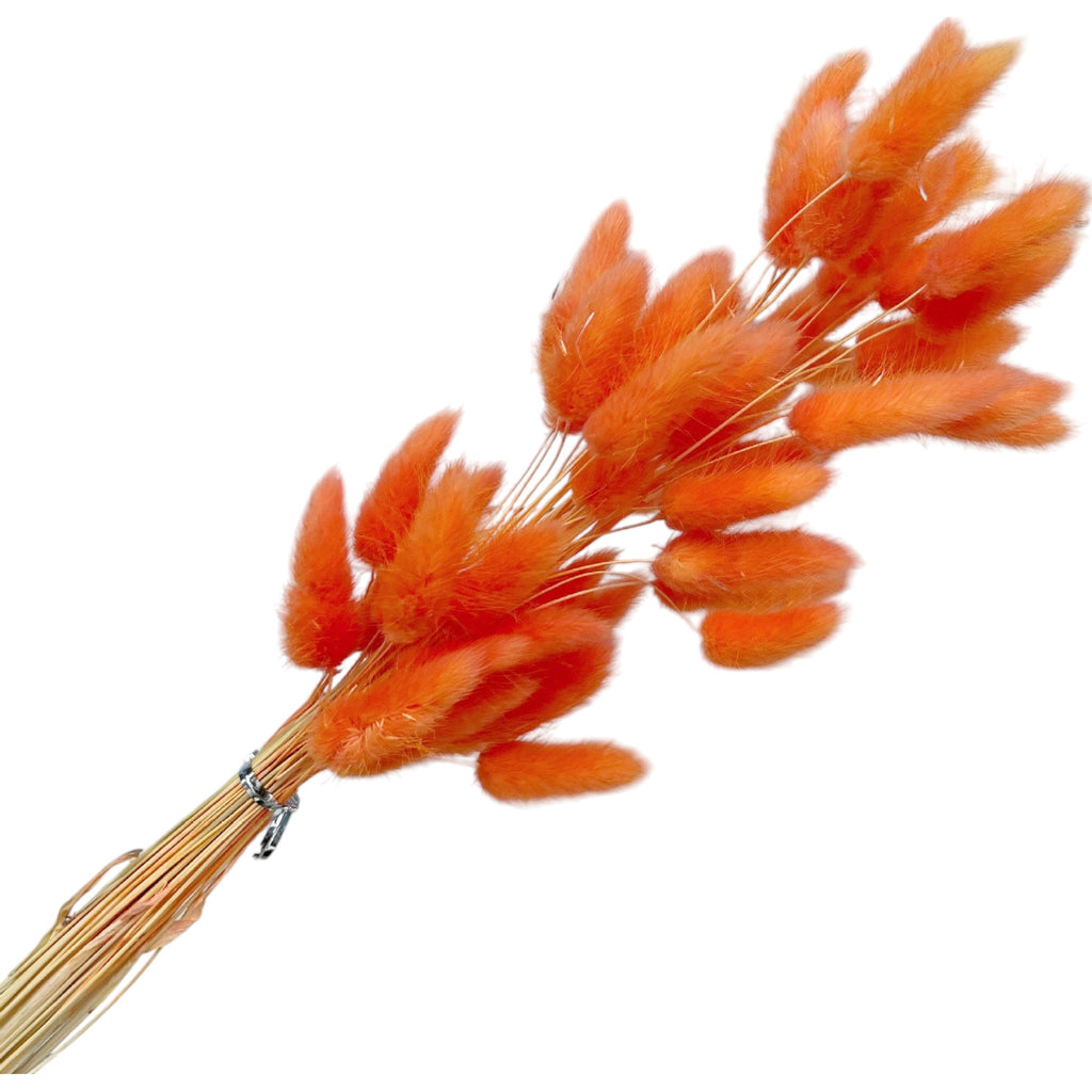 Alilang Decorative Mixed Dried Flower Bouquet for Home Decoration and Arrangements