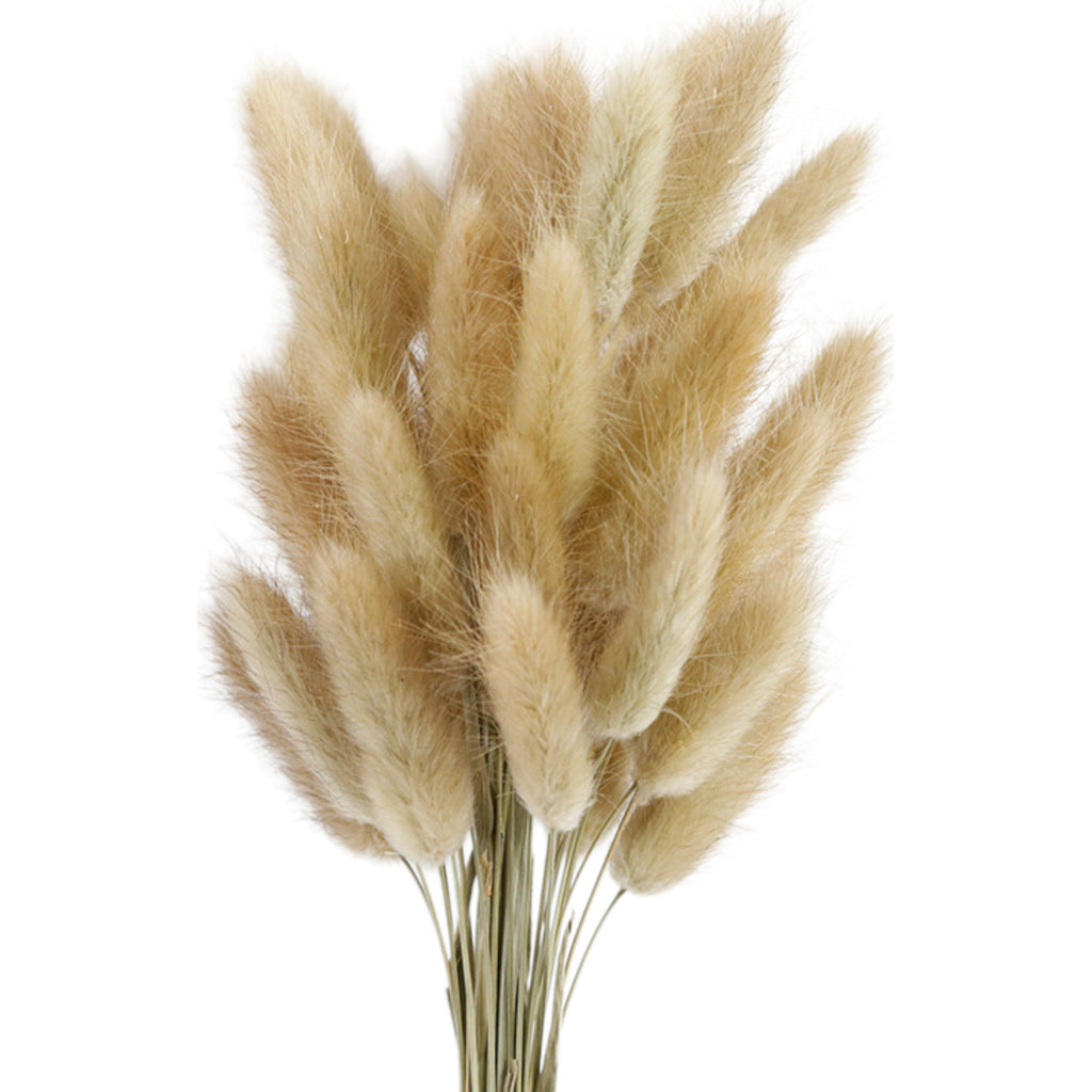 Alilang Decorative Mixed Dried Flower Bouquet for Home Decoration and Arrangements