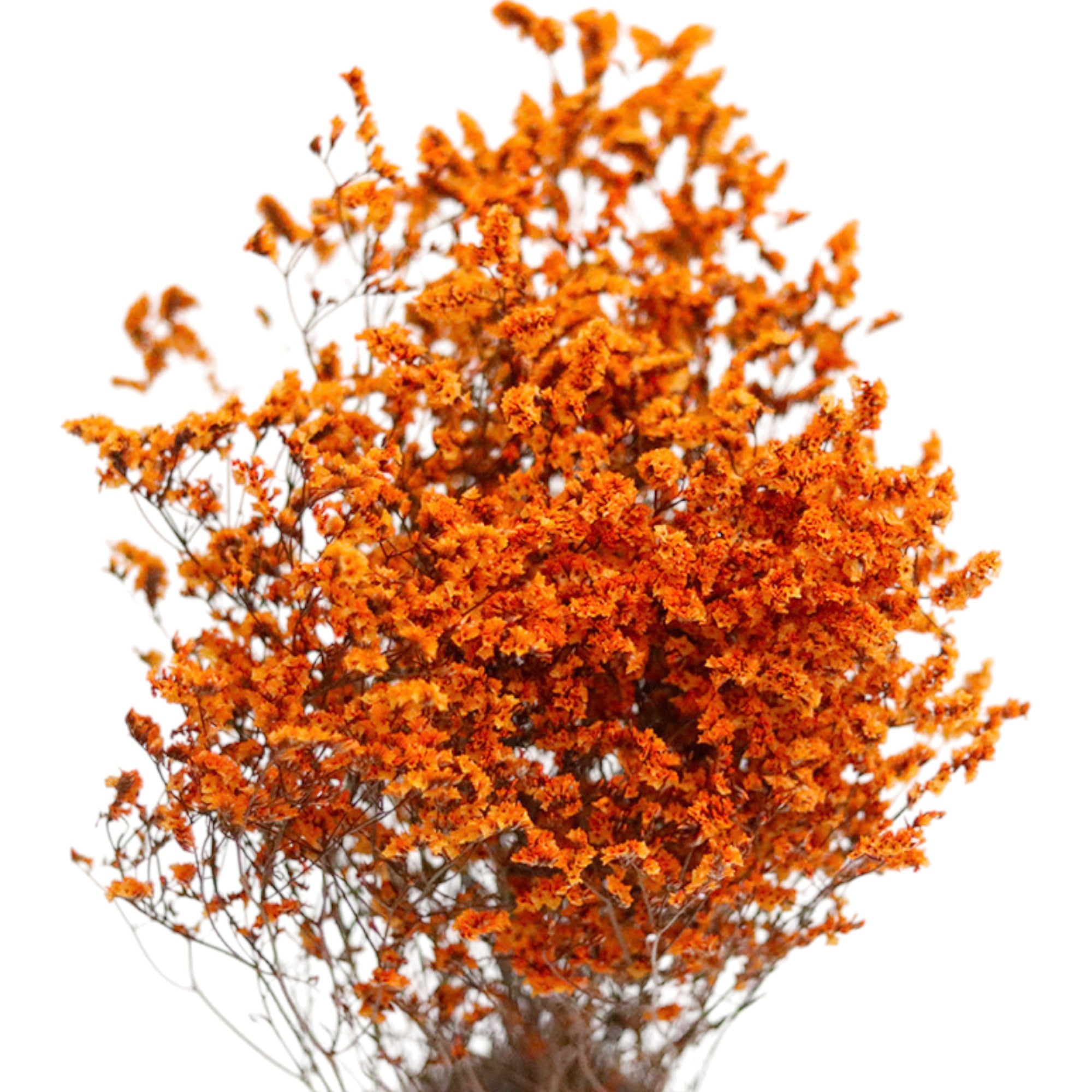 Alilang Decorative Mixed Dried Flower Bouquet for Home Decoration and Arrangements