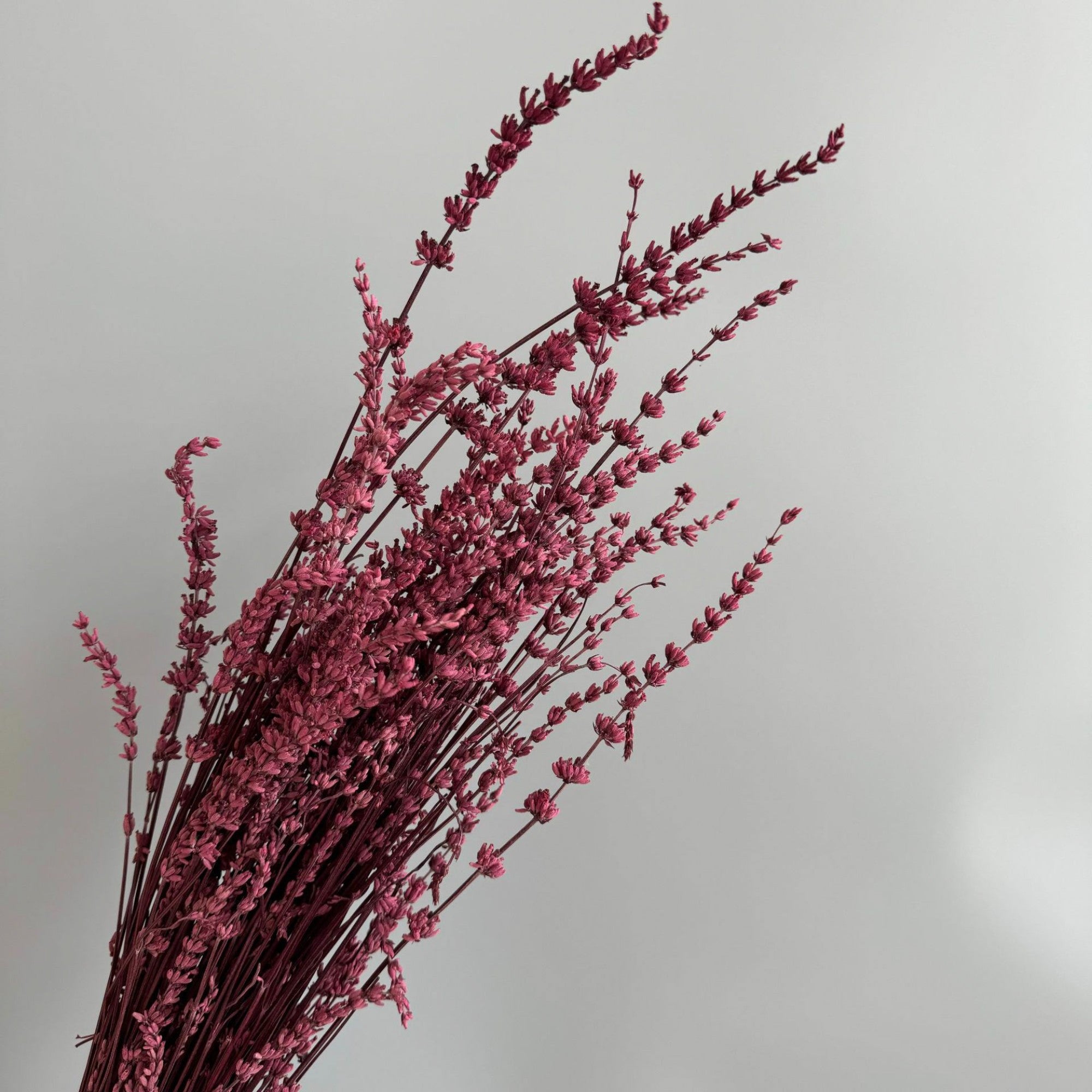 Alilang Decorative Dried Greenery Stems for Home Decoration and Floral Arrangements