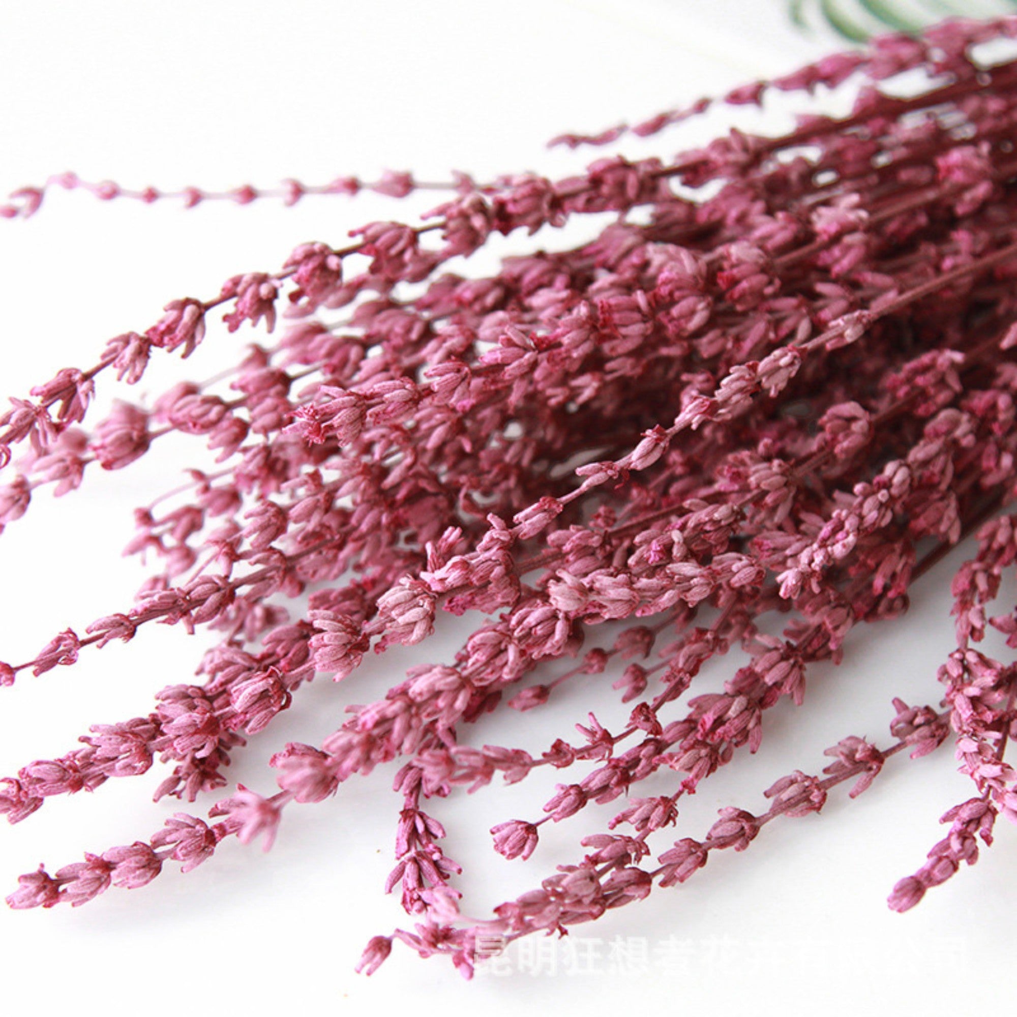 Alilang Decorative Dried Greenery Stems for Home Decoration and Floral Arrangements