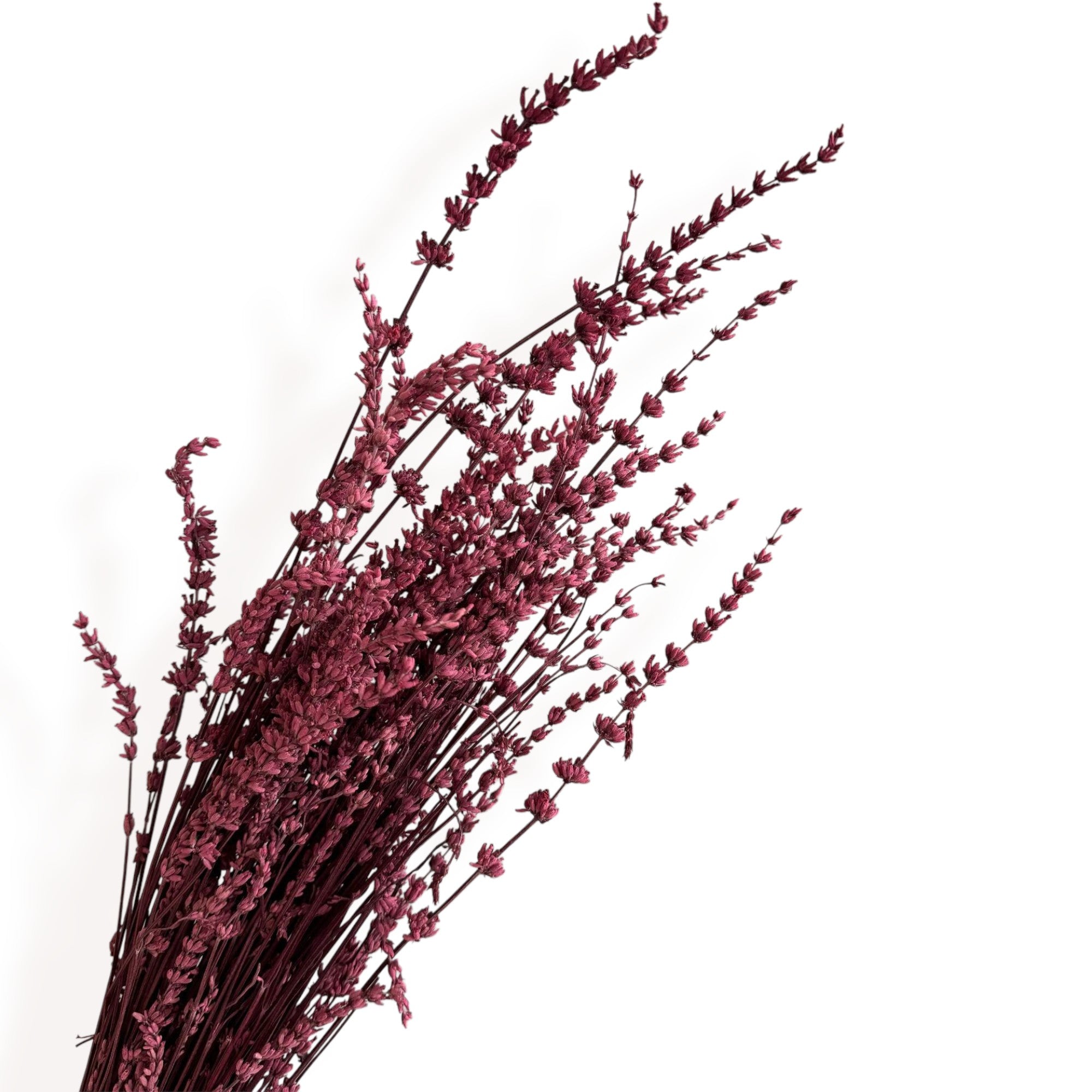 Alilang Decorative Dried Greenery Stems for Home Decoration and Floral Arrangements