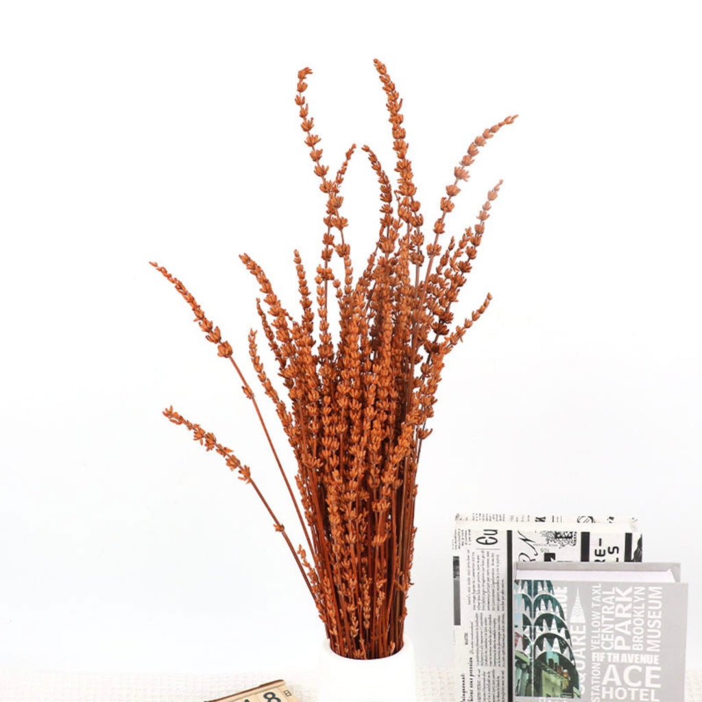 Alilang Decorative Dried Greenery Stems for Home Decoration and Floral Arrangements