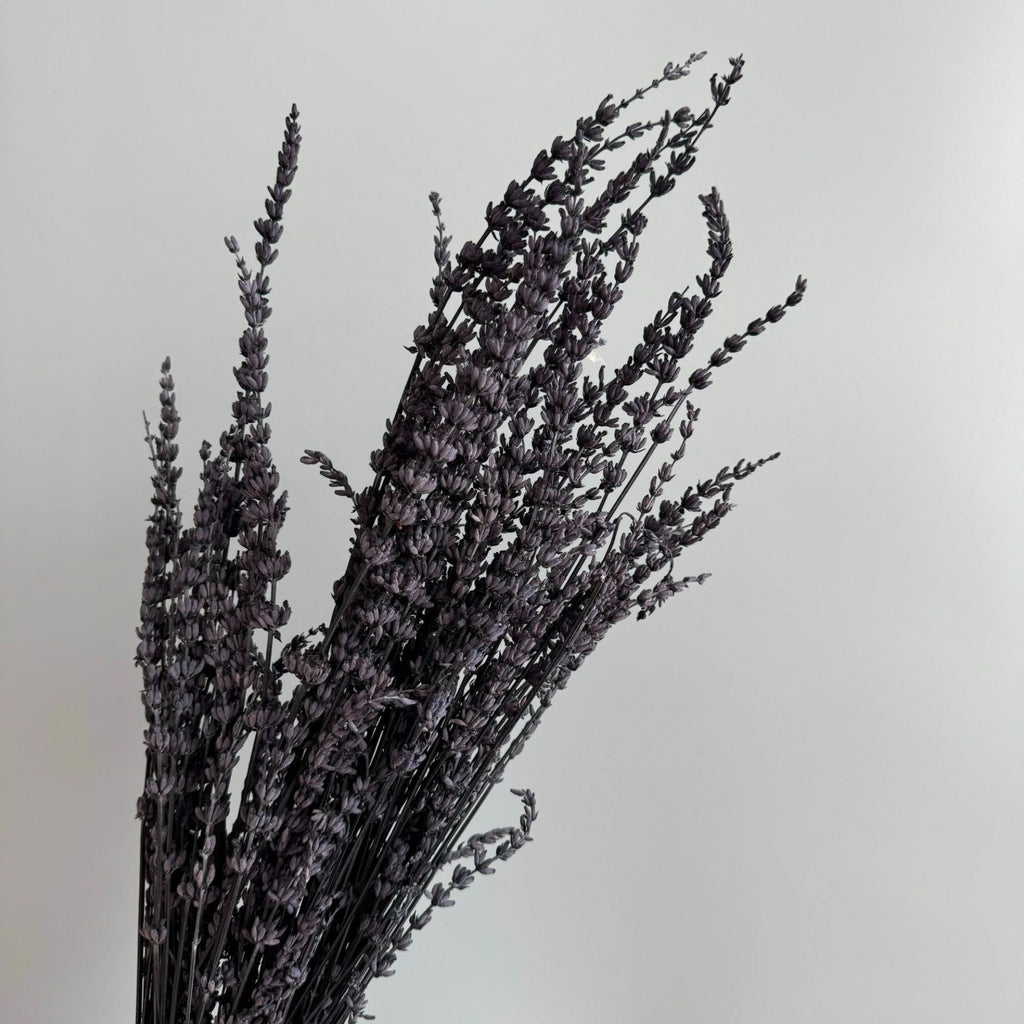 Alilang Decorative Dried Greenery Stems for Home Decoration and Floral Arrangements