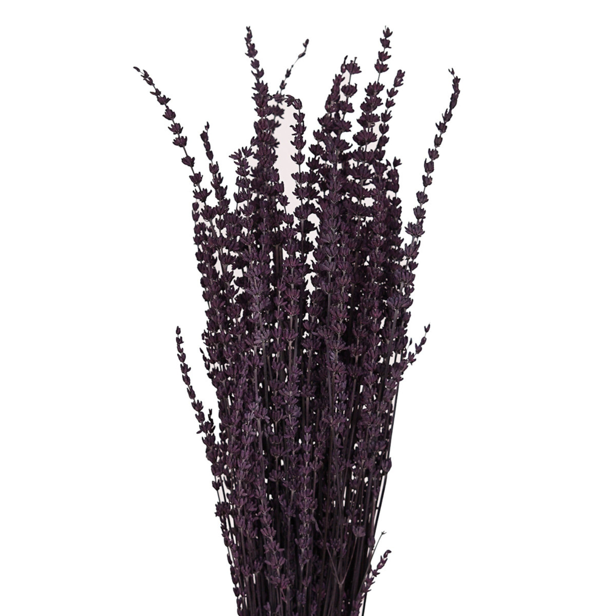 Alilang Decorative Dried Greenery Stems for Home Decoration and Floral Arrangements