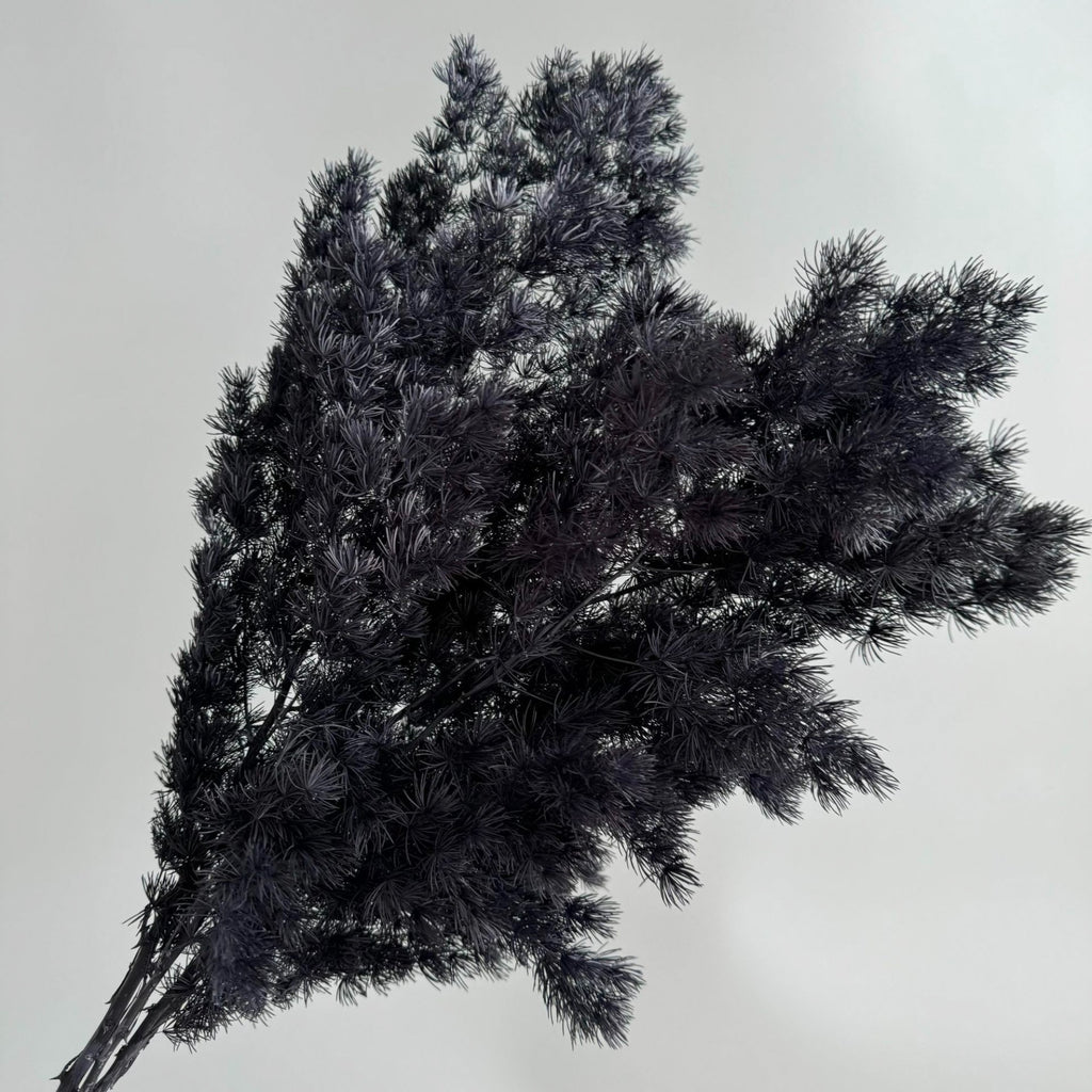 Alilang Decorative Dried Fine Leaf Stems for Home Decoration and Floral Arrangements