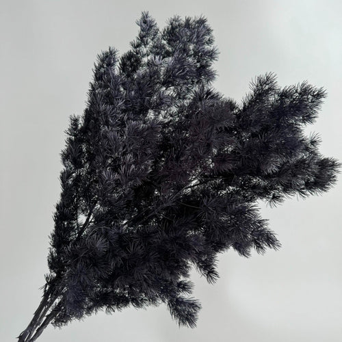 Alilang Decorative Dried Fine Leaf Stems for Home Decoration and Floral Arrangements