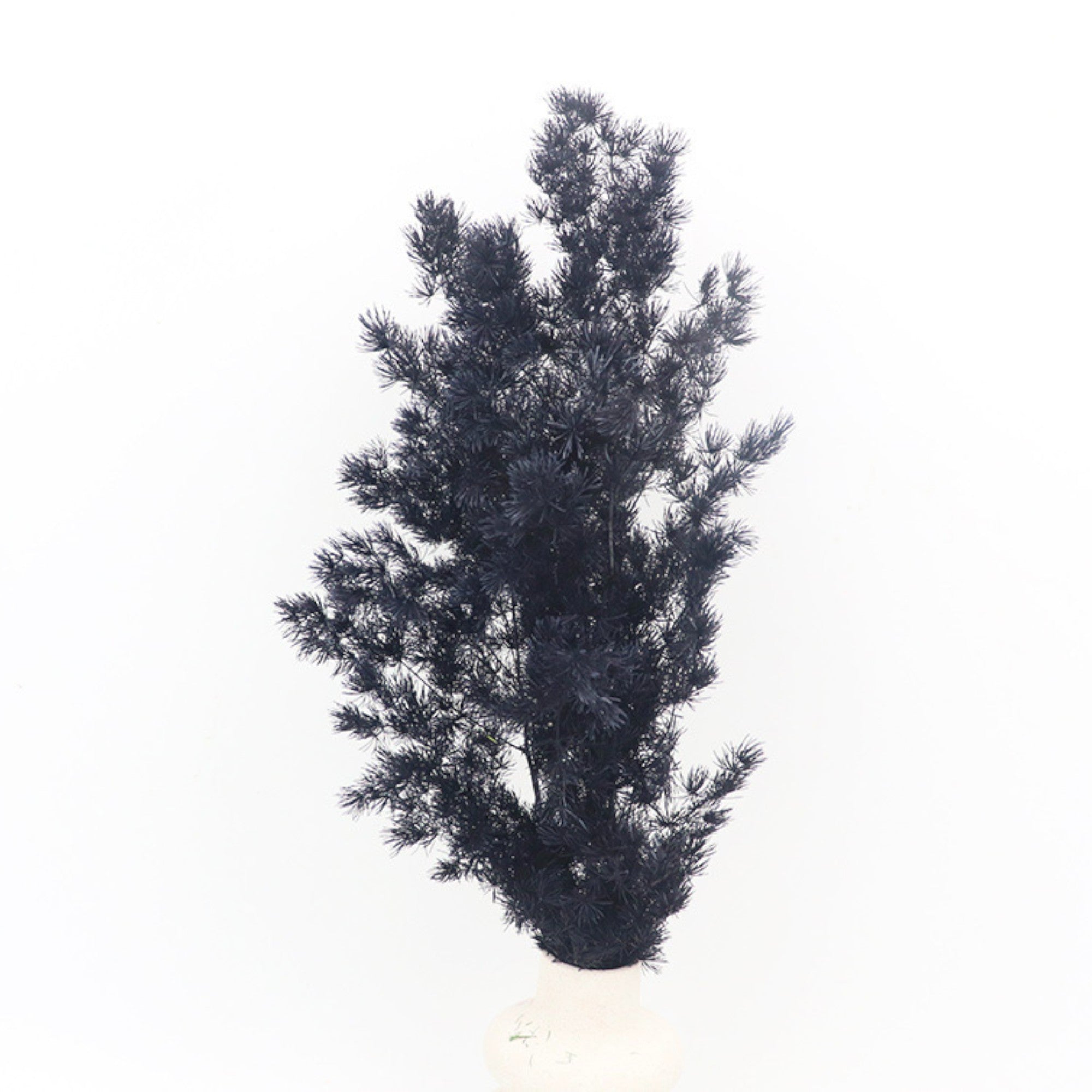 Alilang Decorative Dried Fine Leaf Stems for Home Decoration and Floral Arrangements