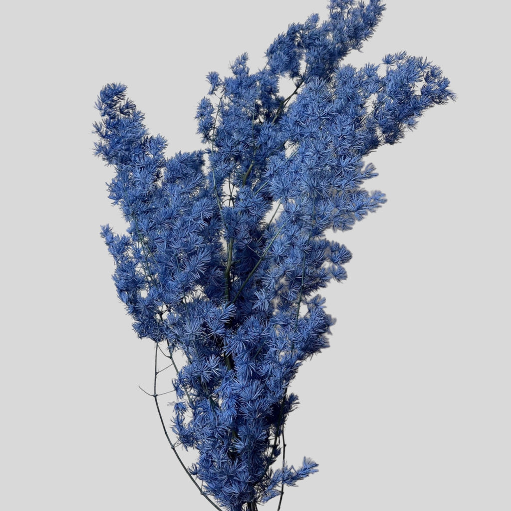 Alilang Decorative Dried Fine Leaf Stems for Home Decoration and Floral Arrangements