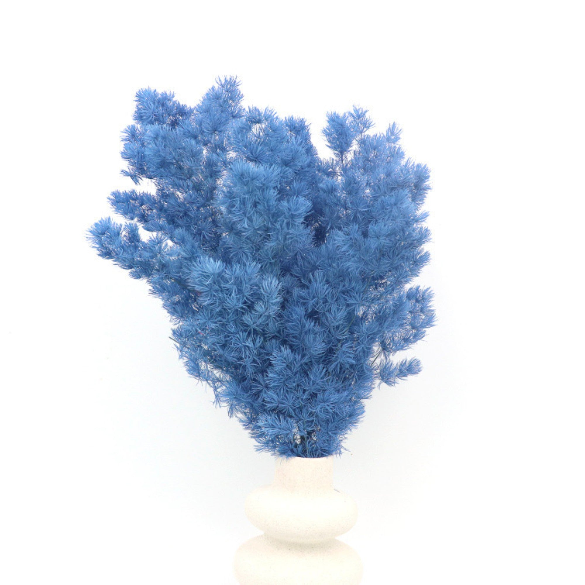 Alilang Decorative Dried Fine Leaf Stems for Home Decoration and Floral Arrangements