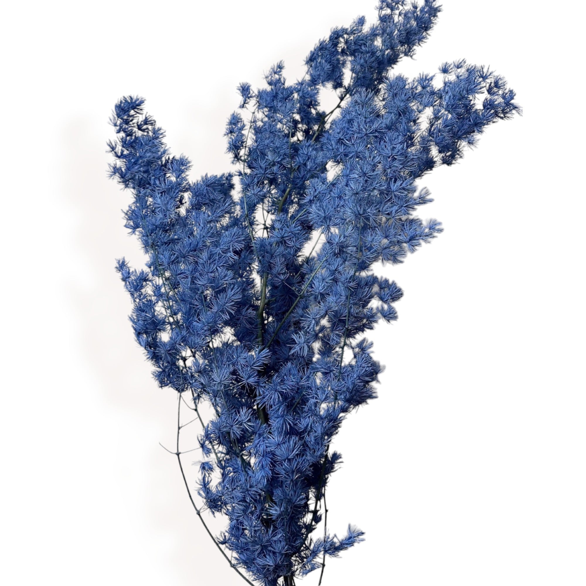 Alilang Decorative Dried Fine Leaf Stems for Home Decoration and Floral Arrangements