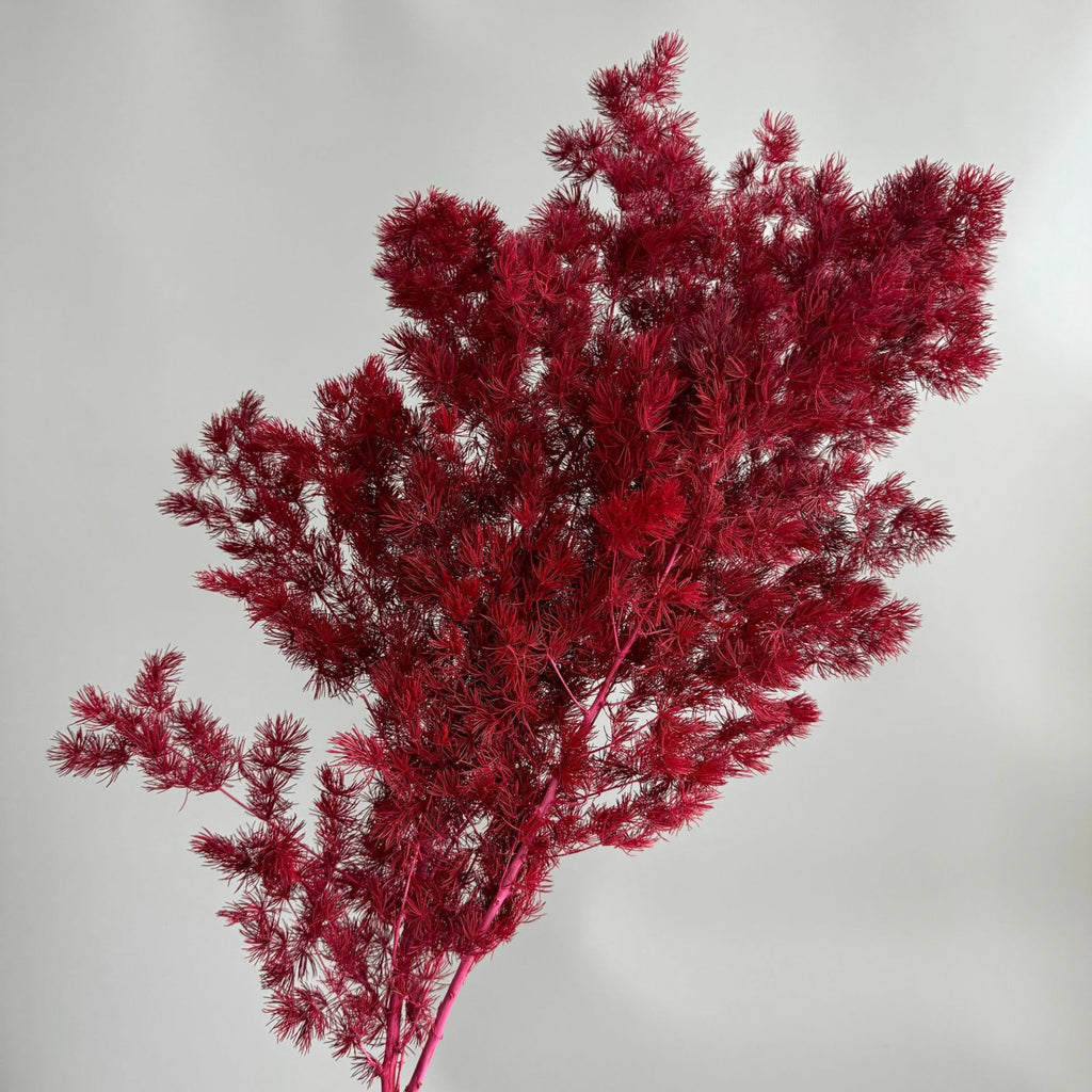 Alilang Decorative Dried Fine Leaf Stems for Home Decoration and Floral Arrangements