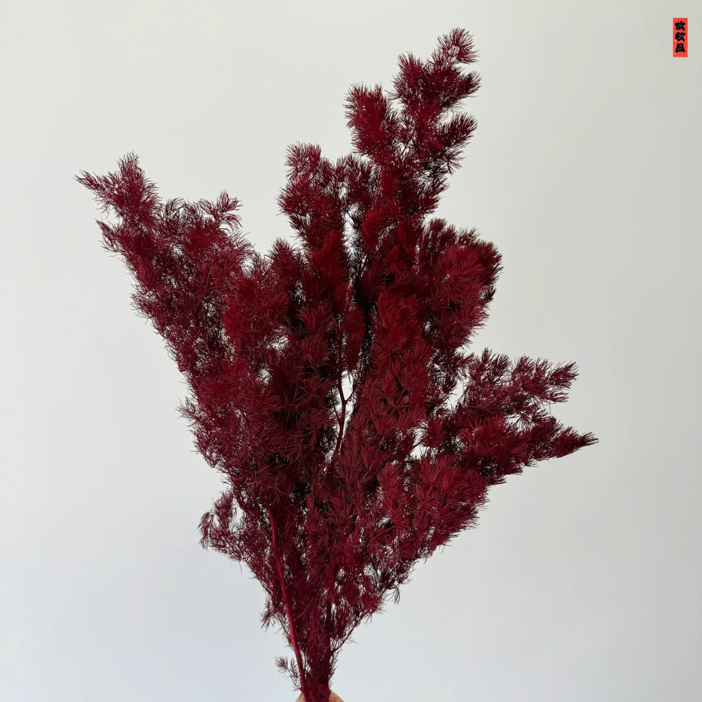 Alilang Decorative Dried Fine Leaf Stems for Home Decoration and Floral Arrangements