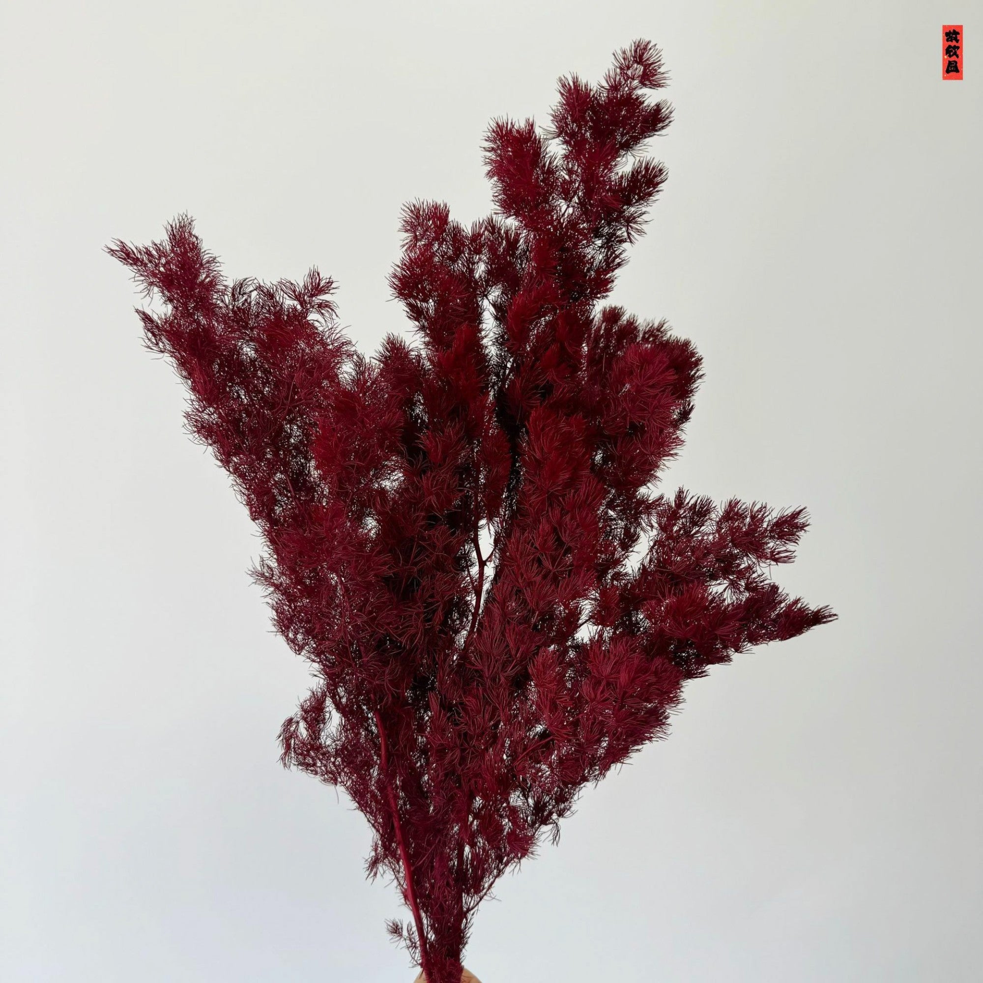 Alilang Decorative Dried Fine Leaf Stems for Home Decoration and Floral Arrangements