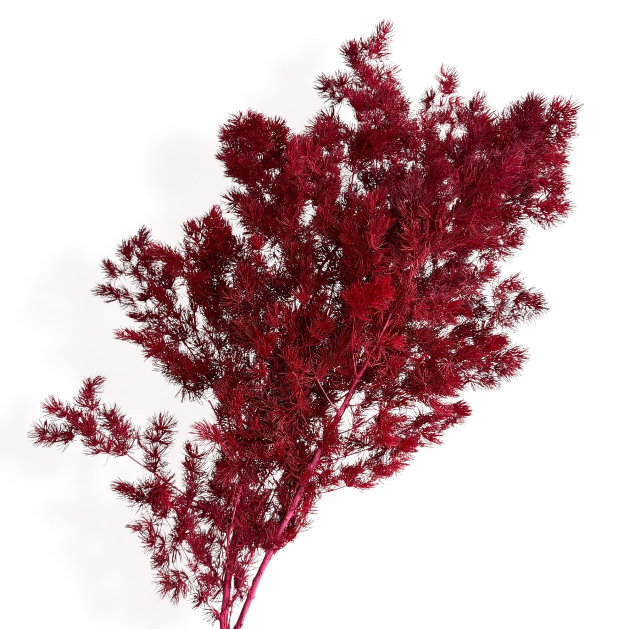 Alilang Decorative Dried Fine Leaf Stems for Home Decoration and Floral Arrangements