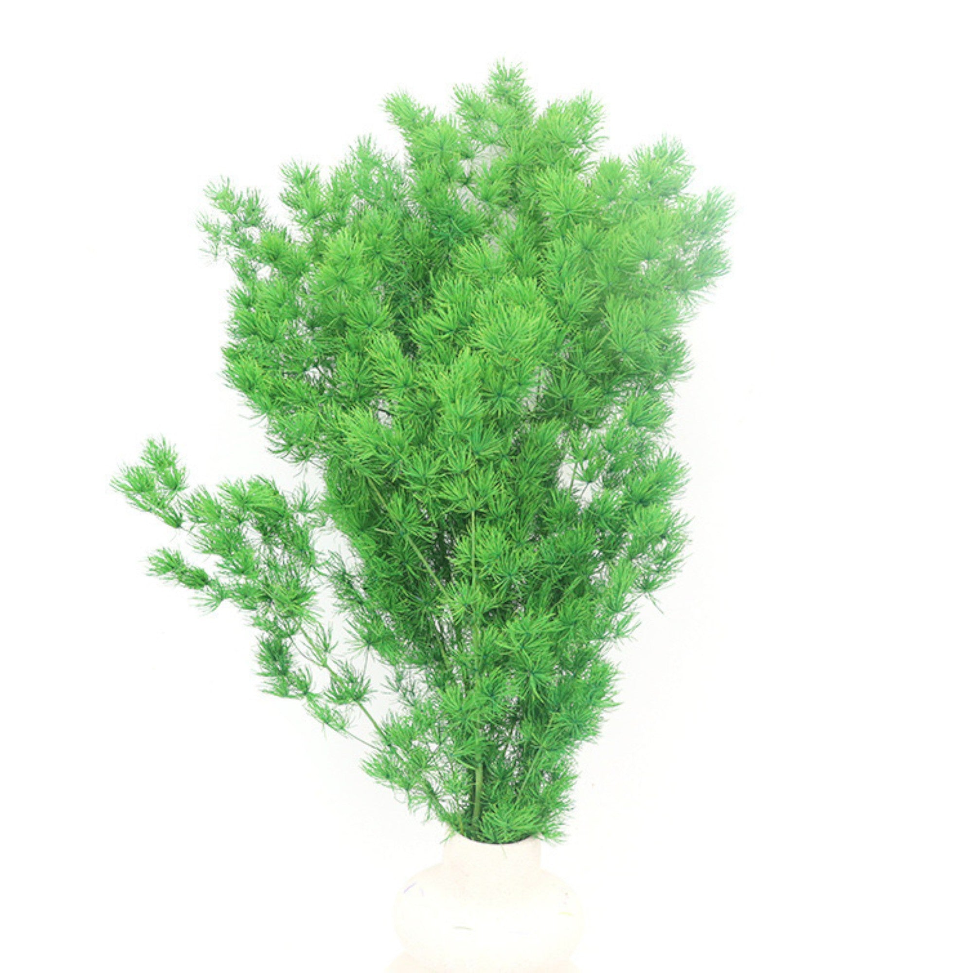 Alilang Decorative Dried Fine Leaf Stems for Home Decoration and Floral Arrangements