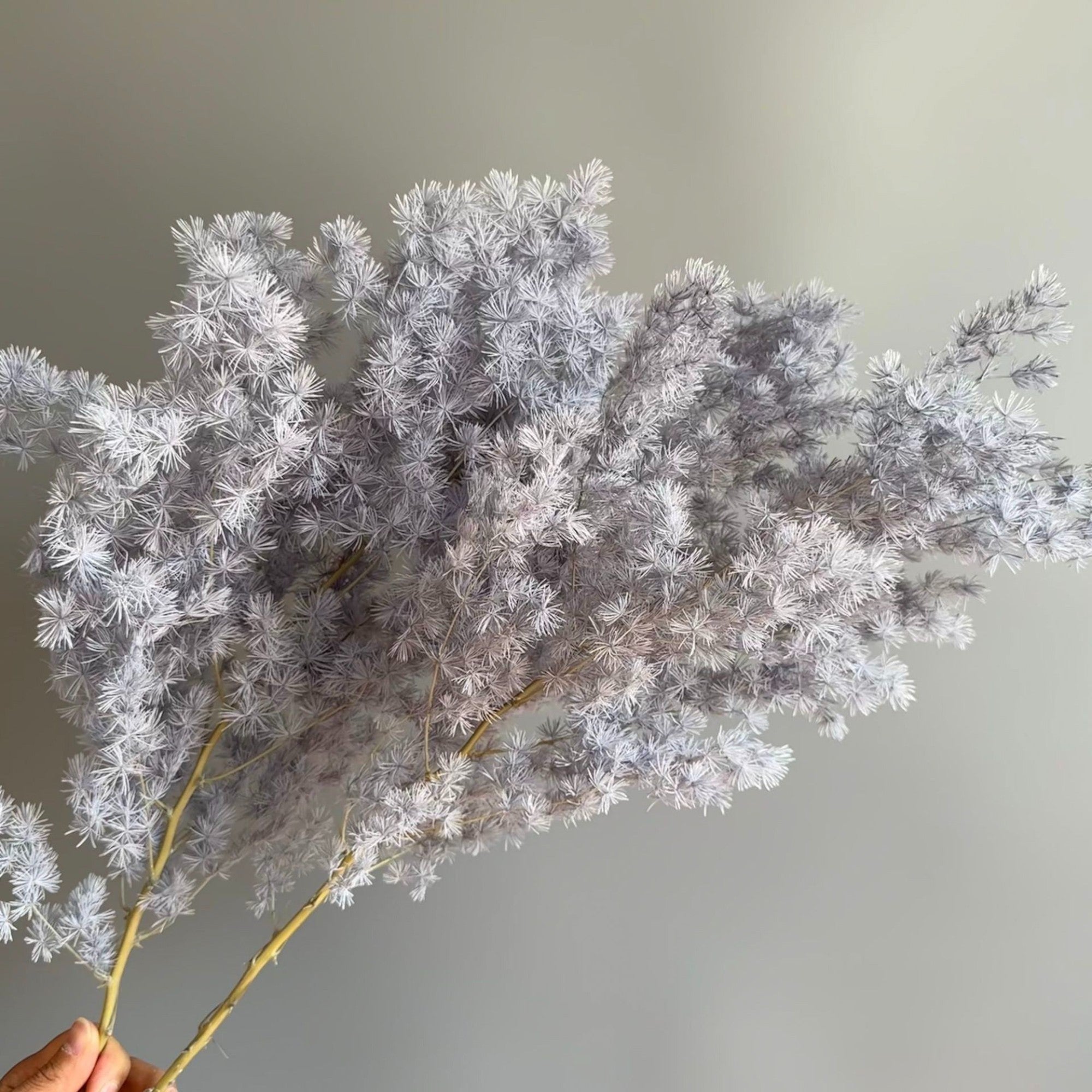 Alilang Decorative Dried Fine Leaf Stems for Home Decoration and Floral Arrangements