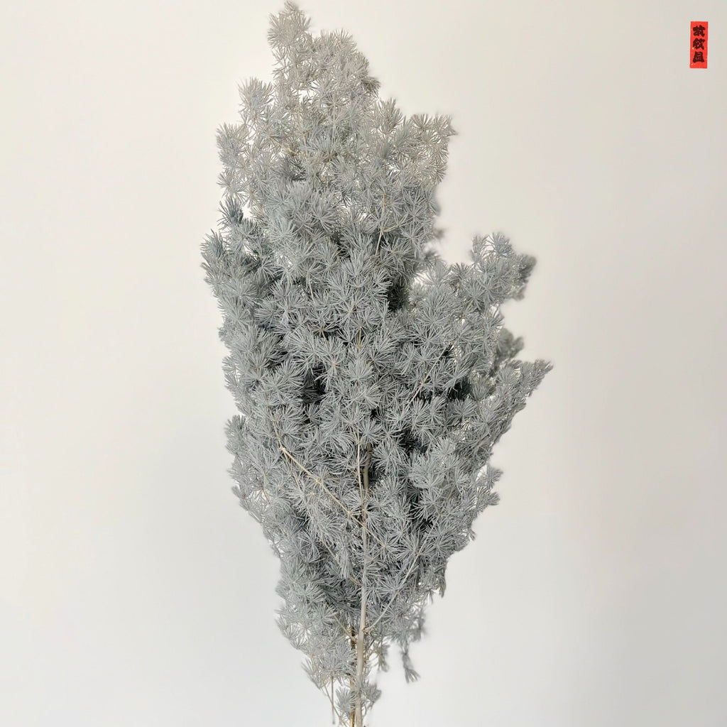 Alilang Decorative Dried Fine Leaf Stems for Home Decoration and Floral Arrangements