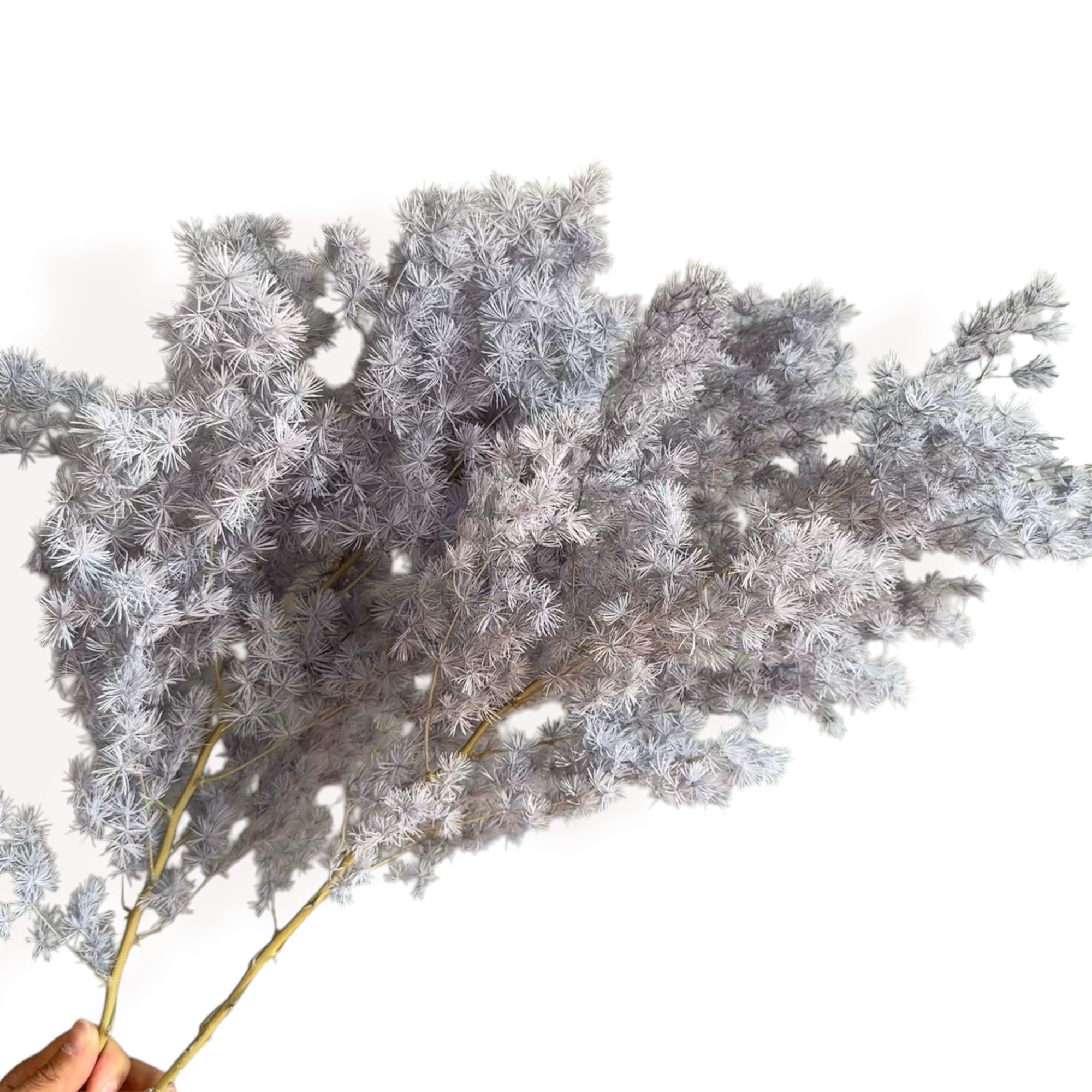 Alilang Decorative Dried Fine Leaf Stems for Home Decoration and Floral Arrangements