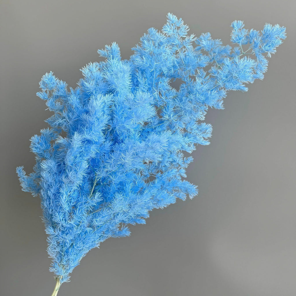 Alilang Decorative Dried Fine Leaf Stems for Home Decoration and Floral Arrangements