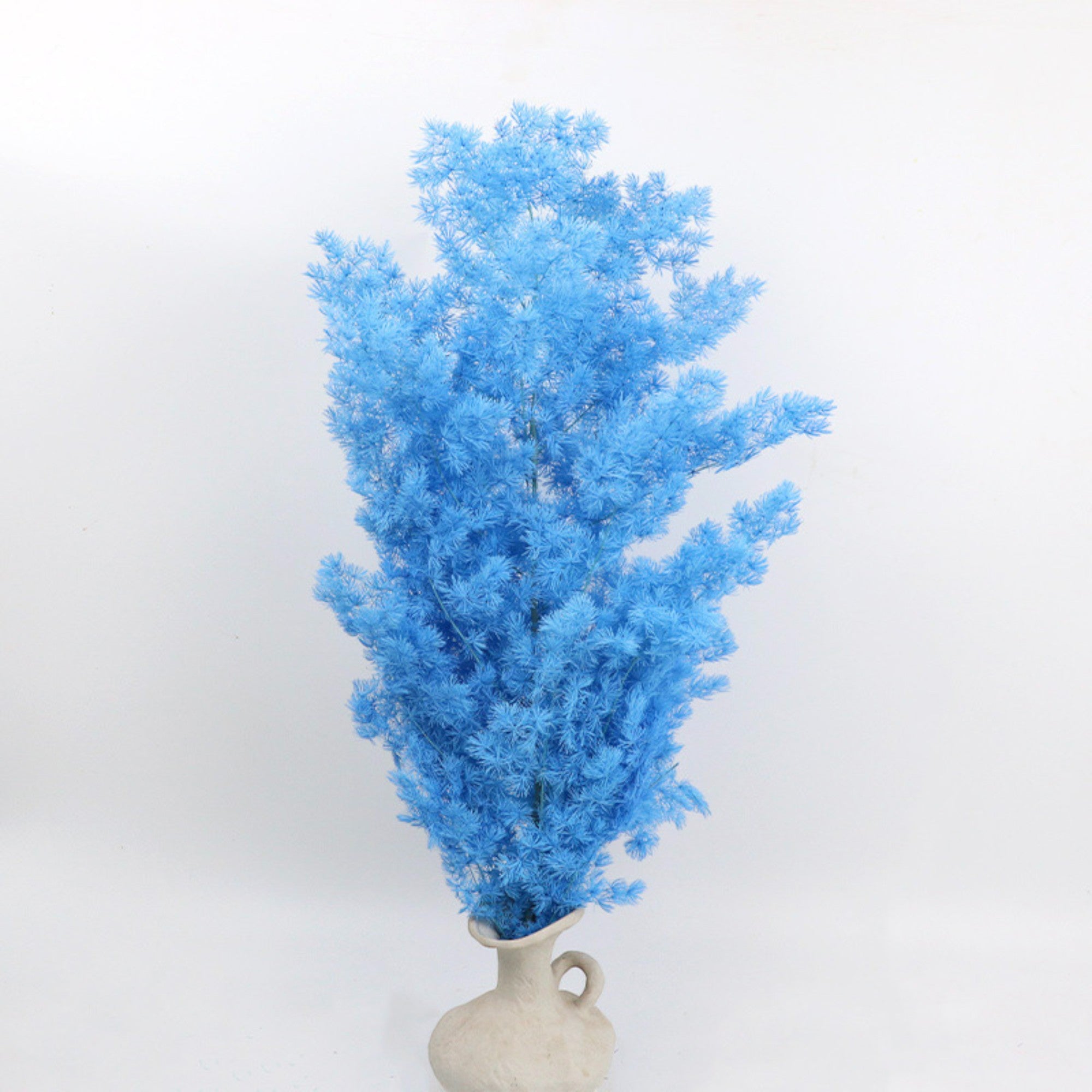 Alilang Decorative Dried Fine Leaf Stems for Home Decoration and Floral Arrangements