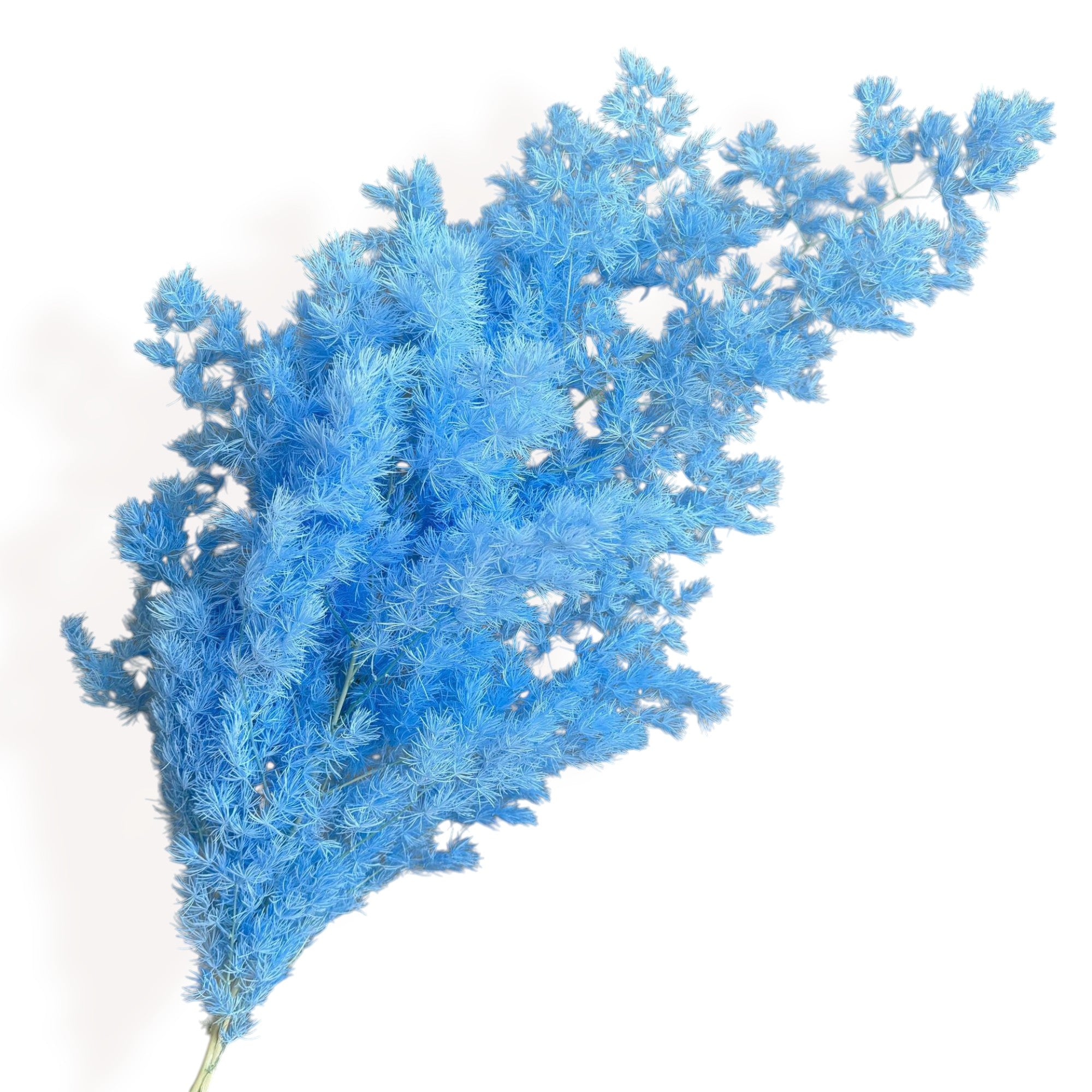 Alilang Decorative Dried Fine Leaf Stems for Home Decoration and Floral Arrangements