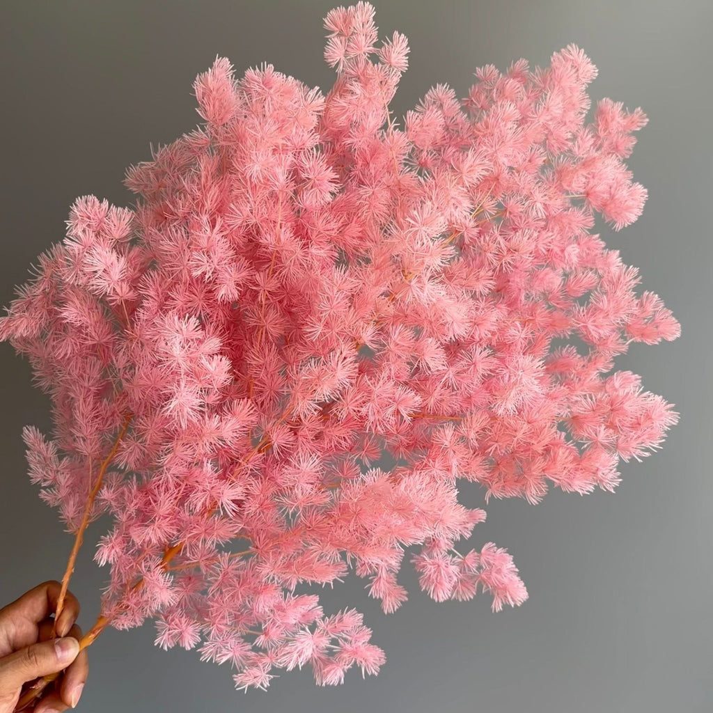 Alilang Decorative Dried Fine Leaf Stems for Home Decoration and Floral Arrangements