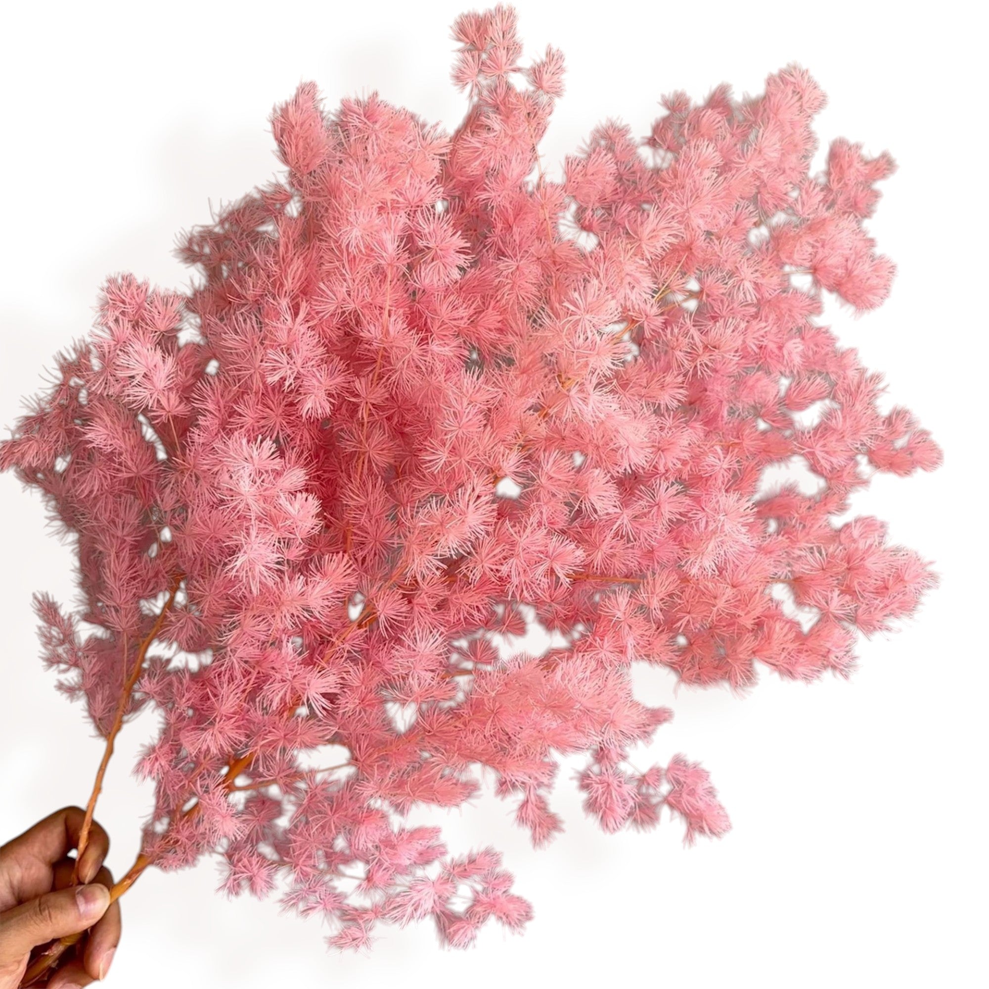 Alilang Decorative Dried Fine Leaf Stems for Home Decoration and Floral Arrangements