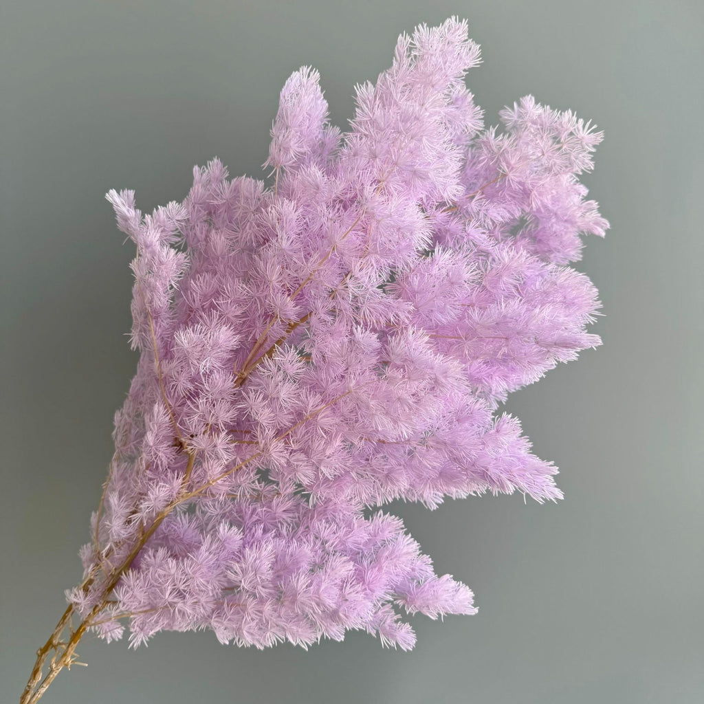 Alilang Decorative Dried Fine Leaf Stems for Home Decoration and Floral Arrangements