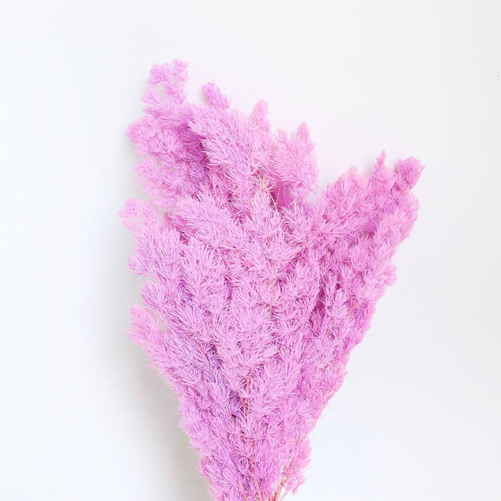 Alilang Decorative Dried Fine Leaf Stems for Home Decoration and Floral Arrangements