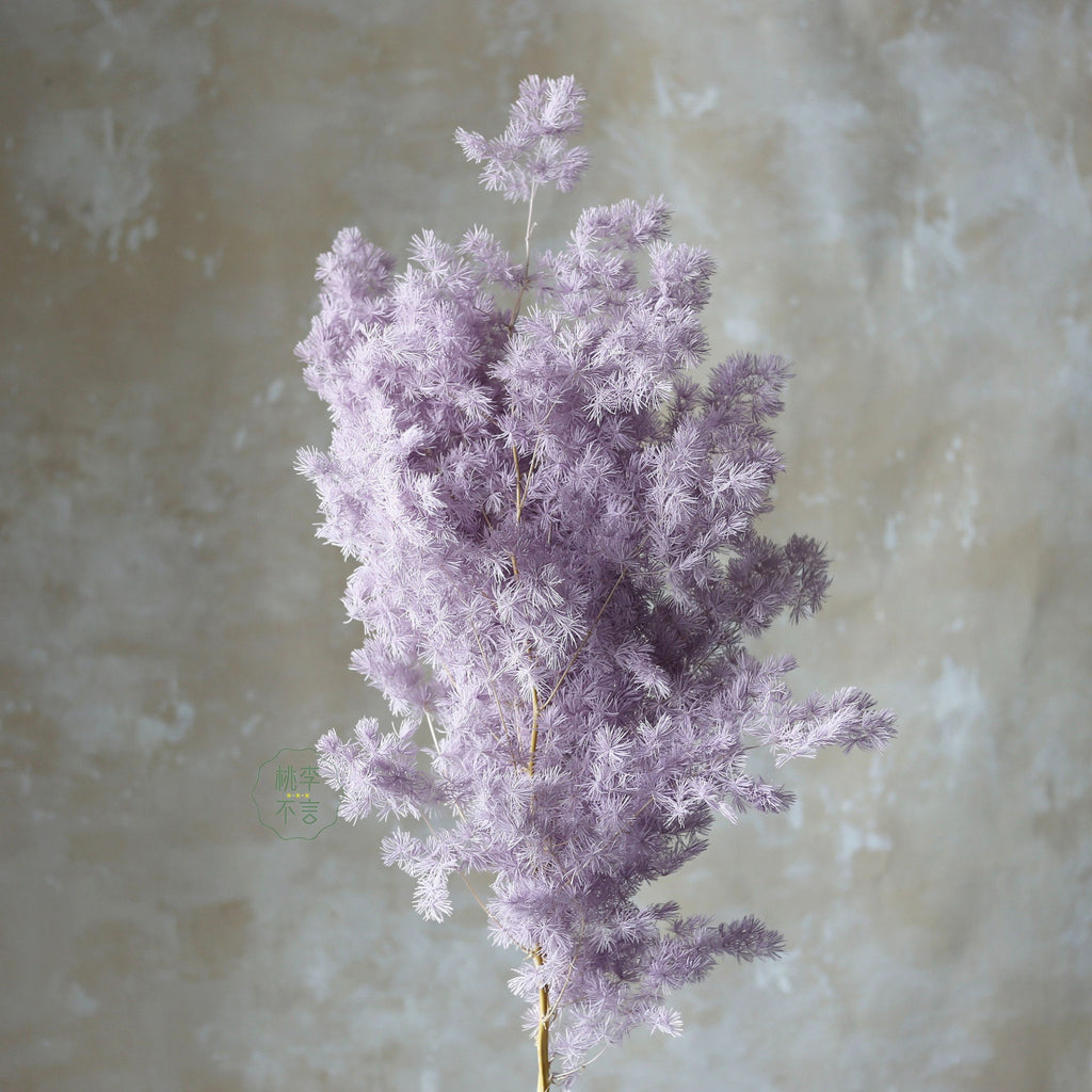 Alilang Decorative Dried Fine Leaf Stems for Home Decoration and Floral Arrangements