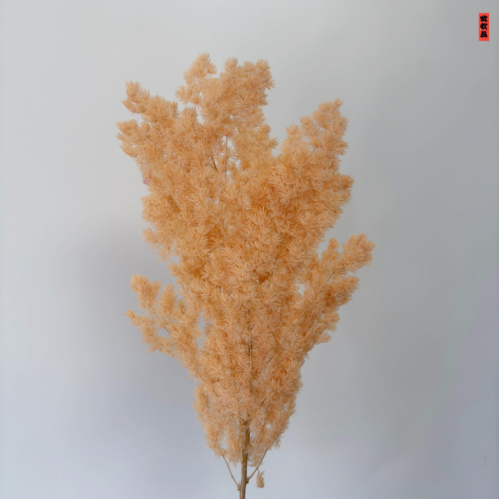 Alilang Decorative Dried Fine Leaf Stems for Home Decoration and Floral Arrangements