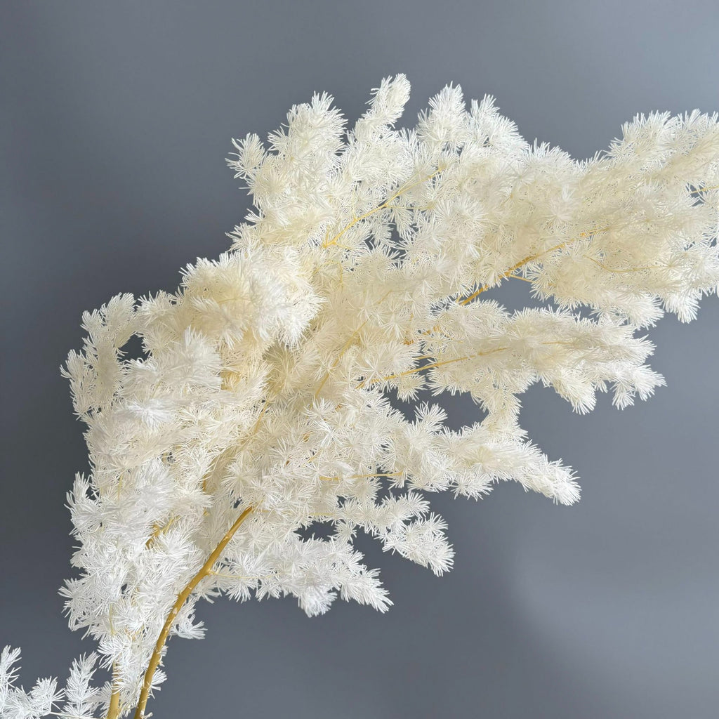 Alilang Decorative Dried Fine Leaf Stems for Home Decoration and Floral Arrangements