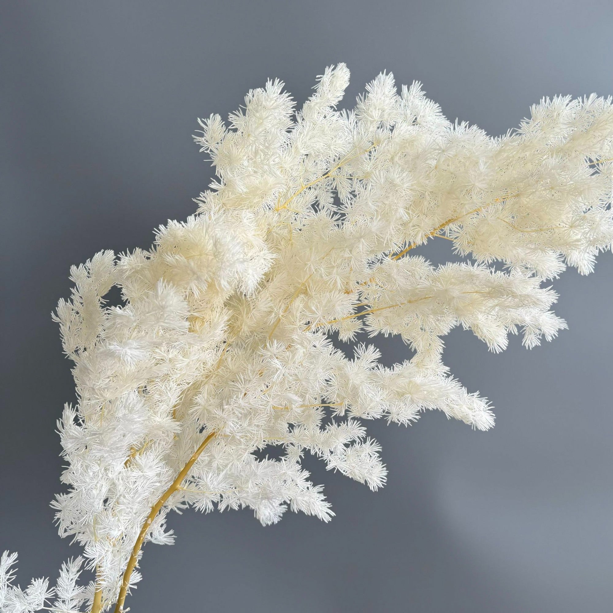 Alilang Decorative Dried Fine Leaf Stems for Home Decoration and Floral Arrangements