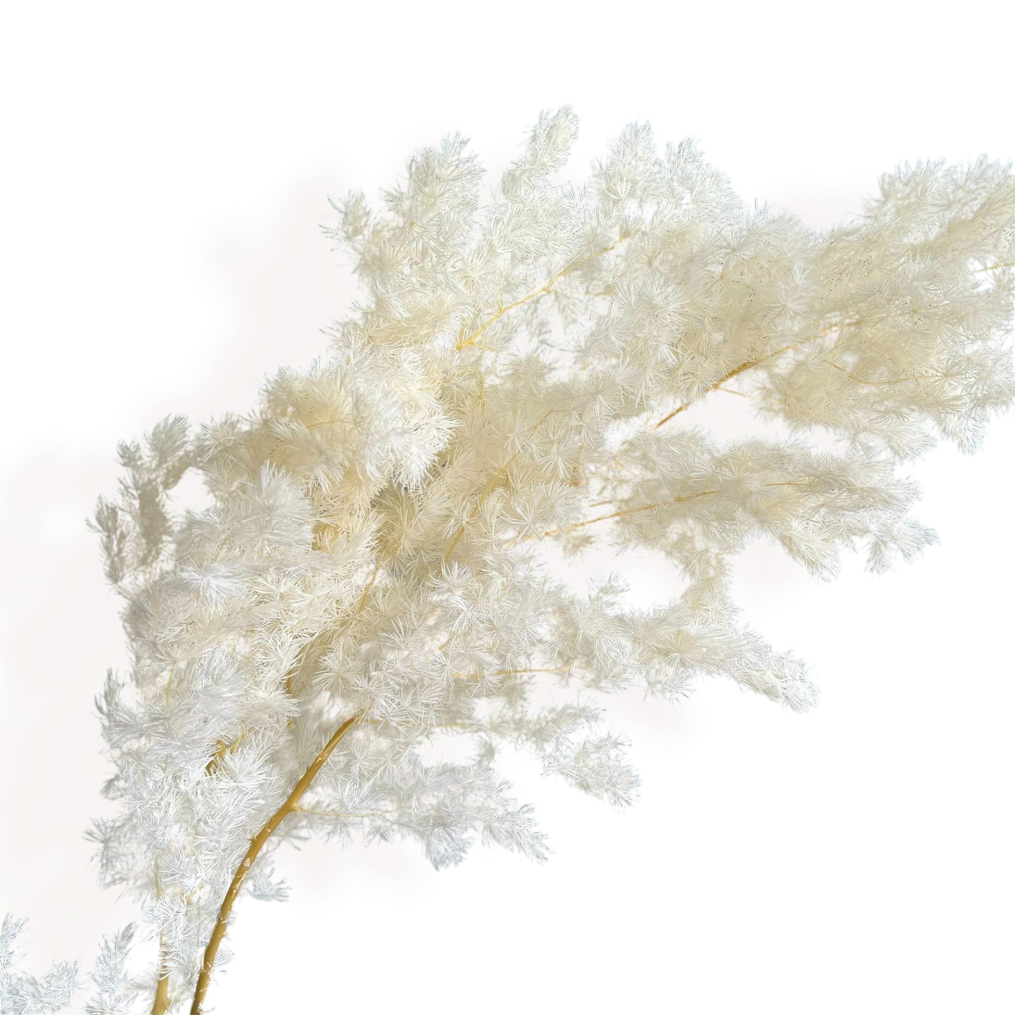 Alilang Decorative Dried Fine Leaf Stems for Home Decoration and Floral Arrangements