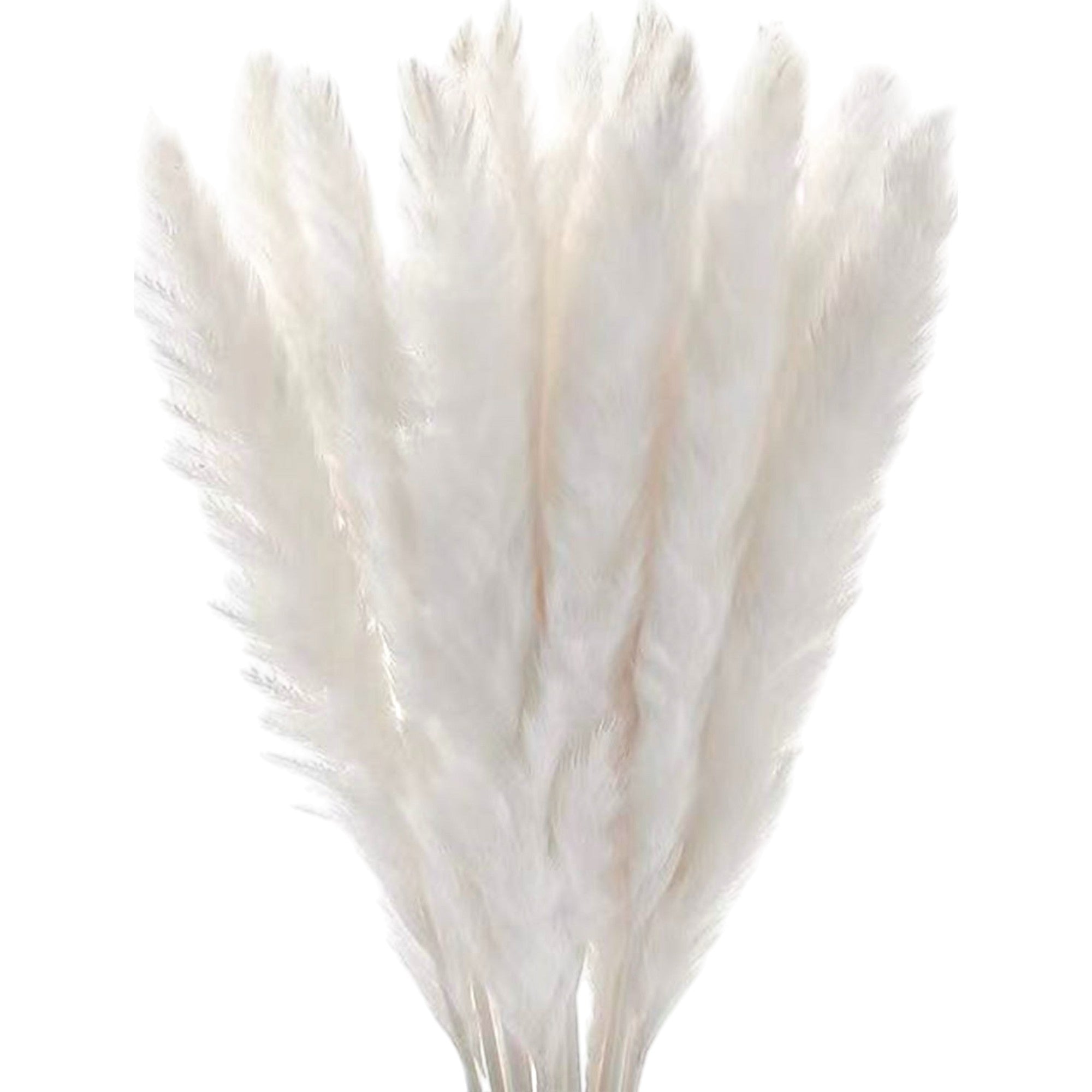 Alilang Decorative Mixed Dried Flower Bouquet with Textured Accents for Home Decoration